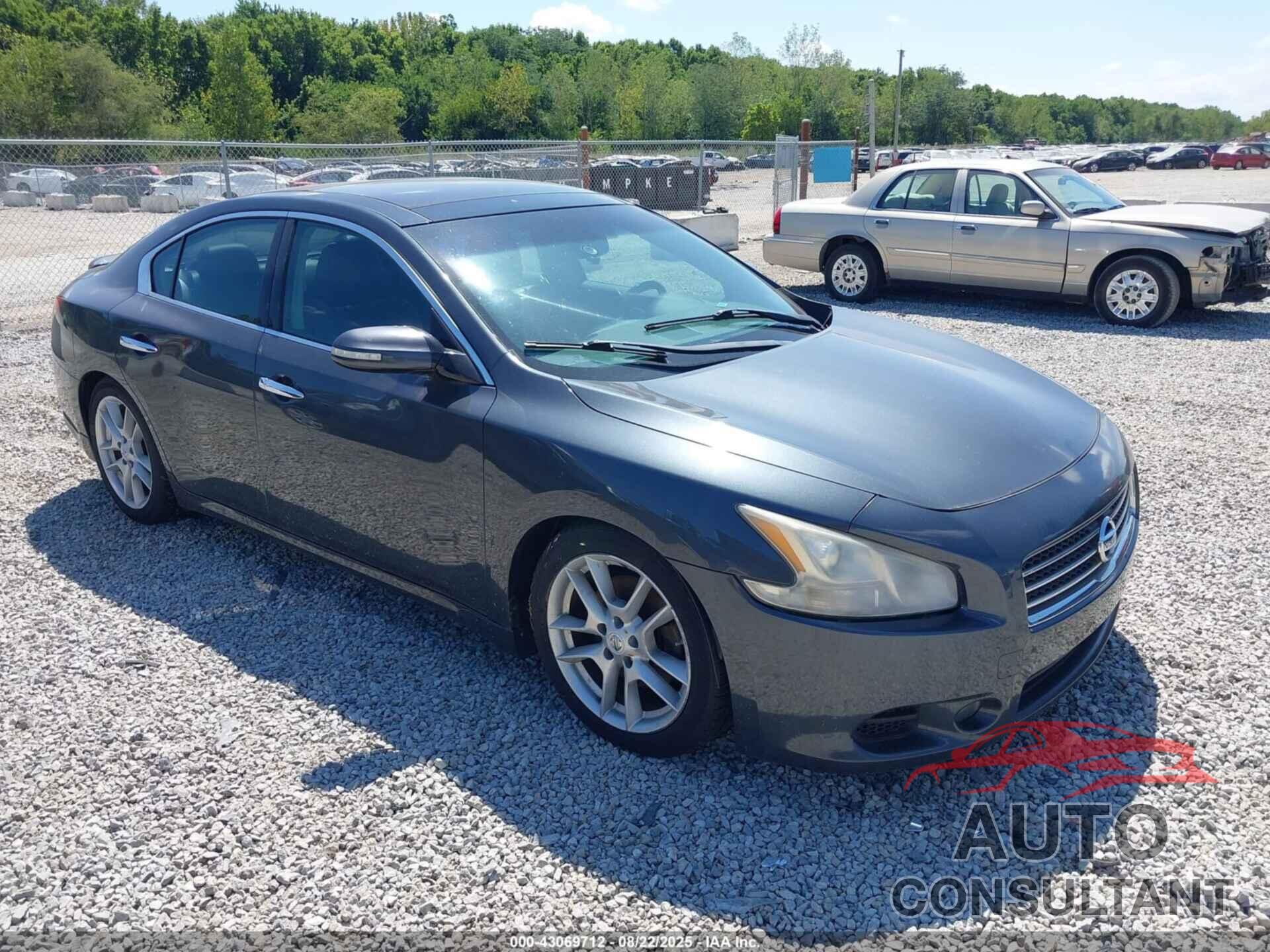 NISSAN MAXIMA 2011 - 1N4AA5AP3BC812166