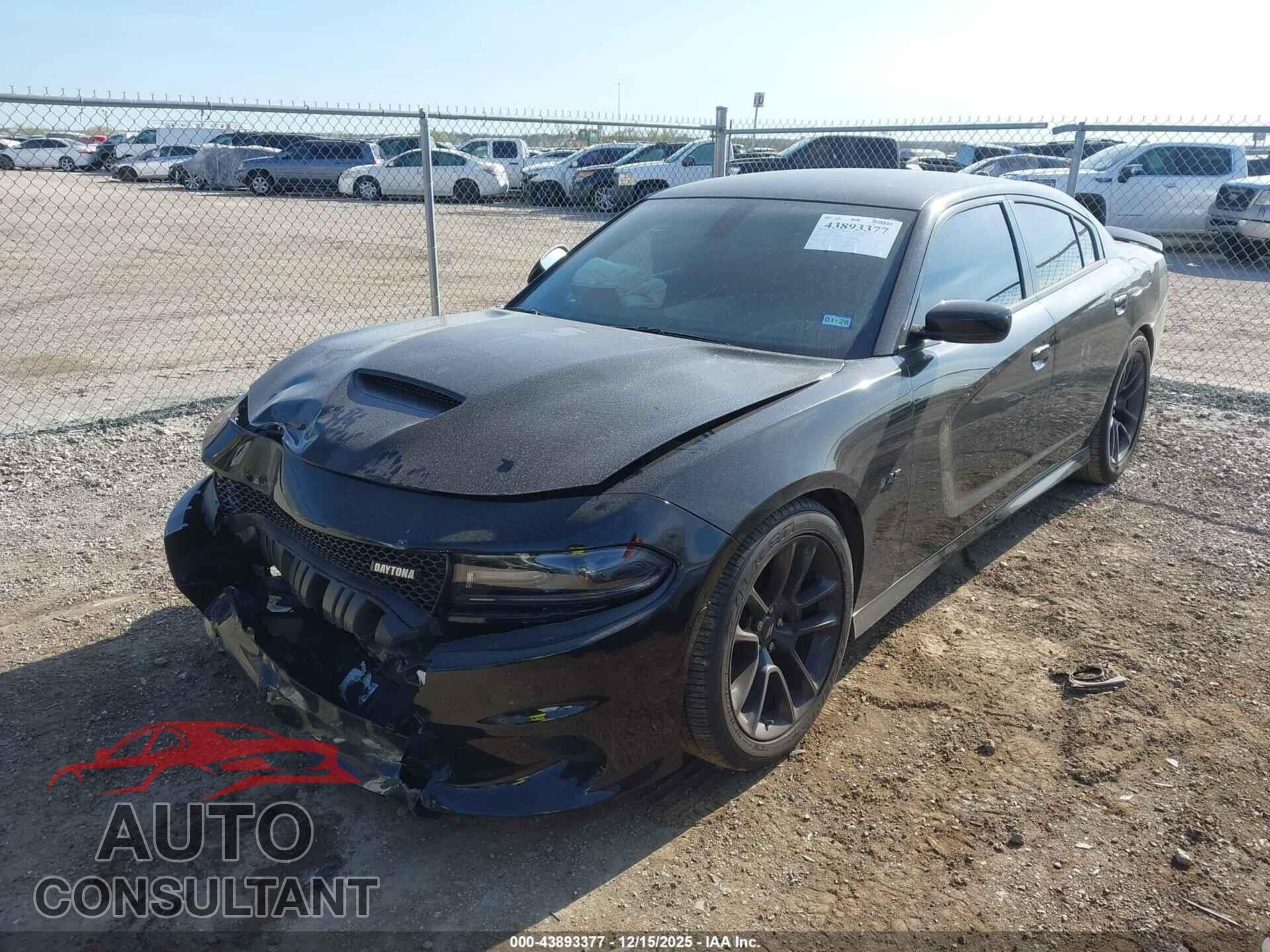 DODGE CHARGER 2021 - 2C3CDXCT1MH619101