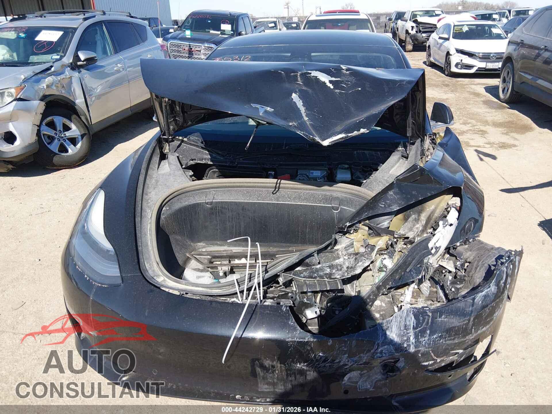TESLA MODEL 3 2019 - 5YJ3E1EA2KF399293