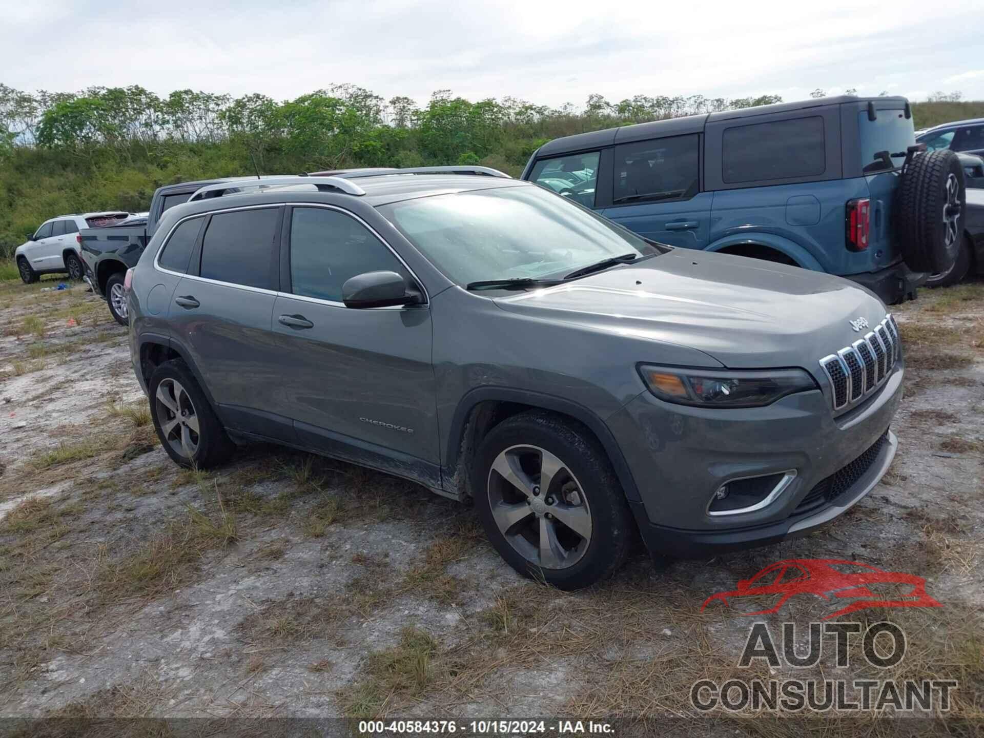 JEEP CHEROKEE 2019 - 1C4PJLDBXKD443762