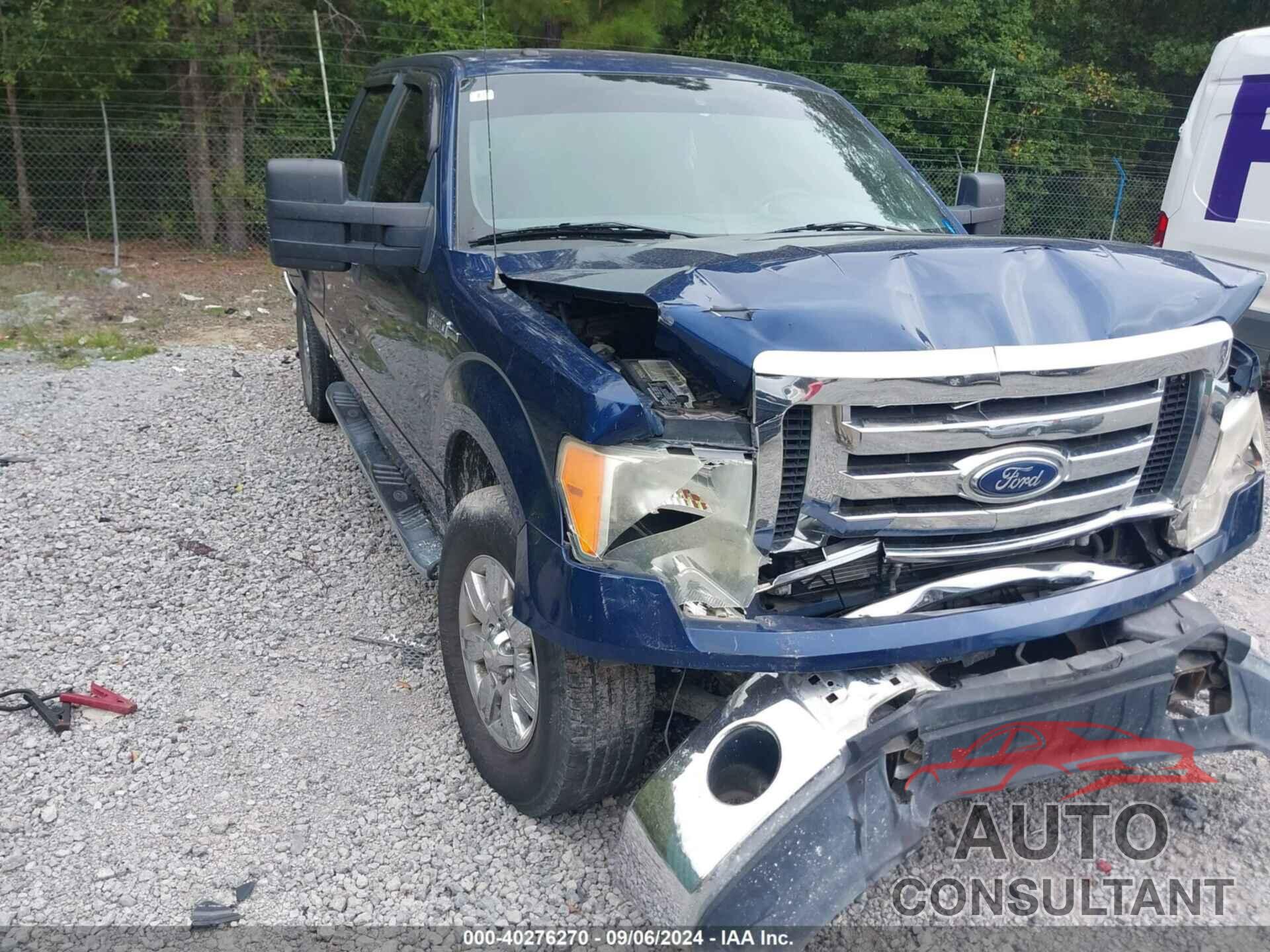 FORD F-150 2010 - 1FTFW1EVXAFC34194