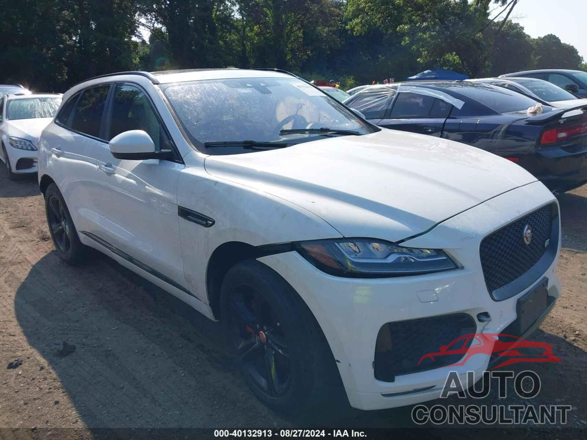 JAGUAR F-PACE 2017 - SADCM2BV9HA099613