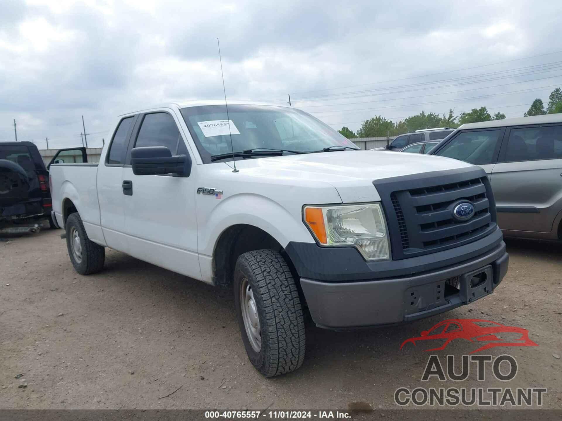 FORD F-150 2009 - 1FTRX12V69KB43618