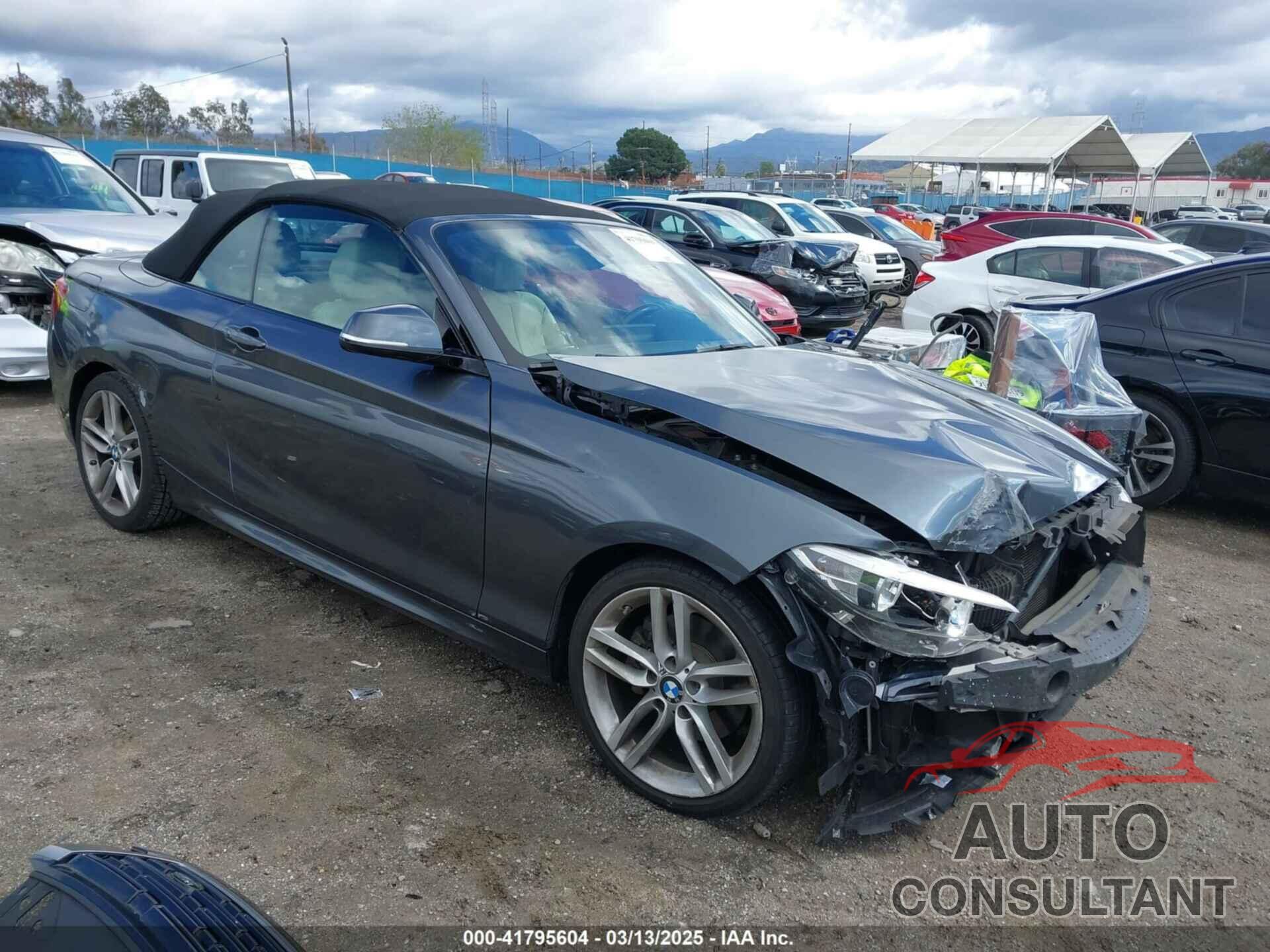 BMW 228I 2016 - WBA1L9C5XGV767324