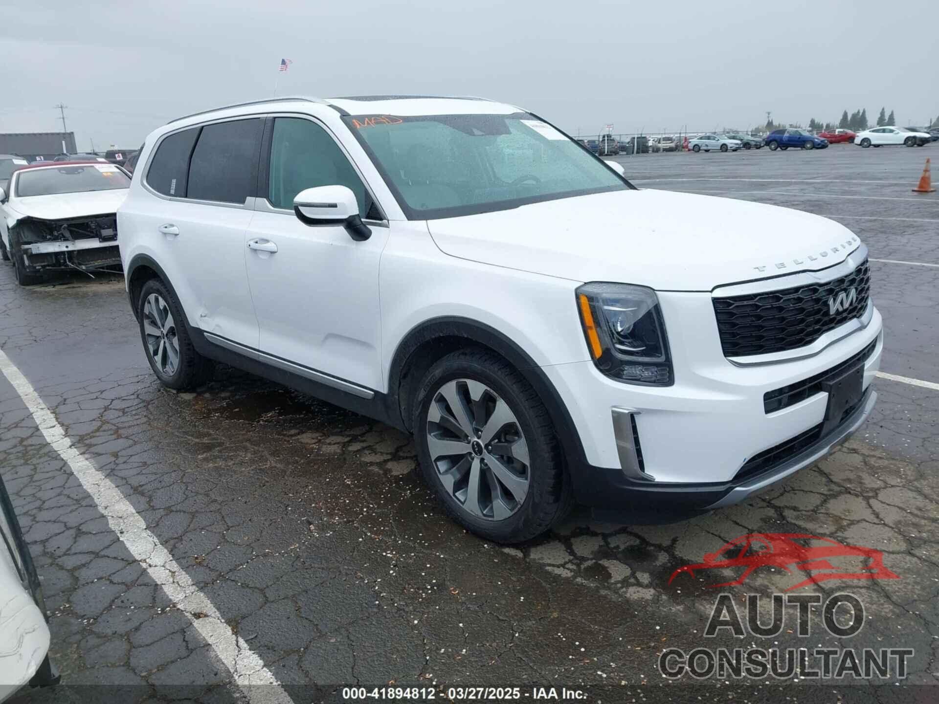 KIA TELLURIDE 2022 - 5XYP6DHC6NG255871