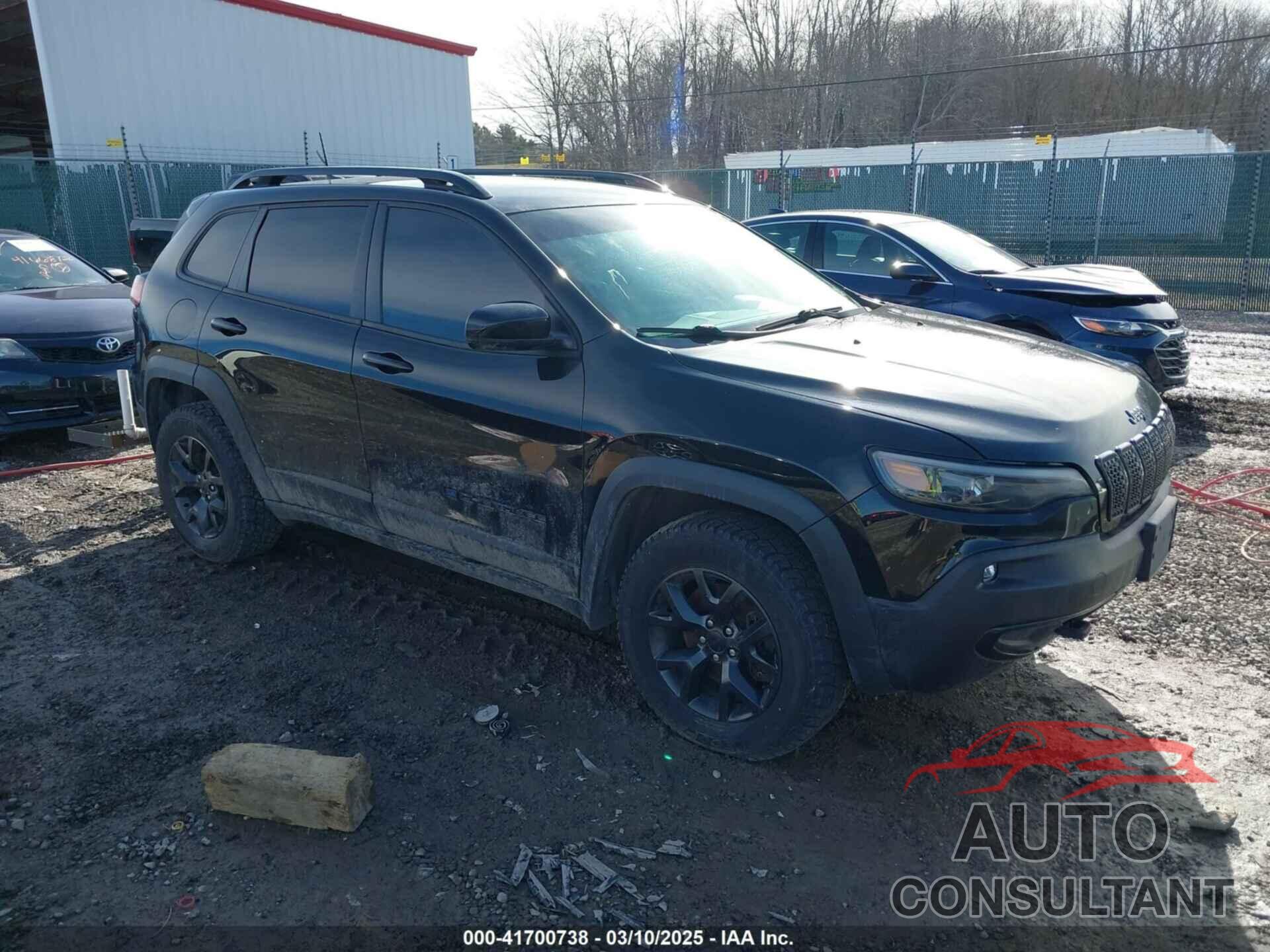 JEEP CHEROKEE 2019 - 1C4PJMCX8KD464323