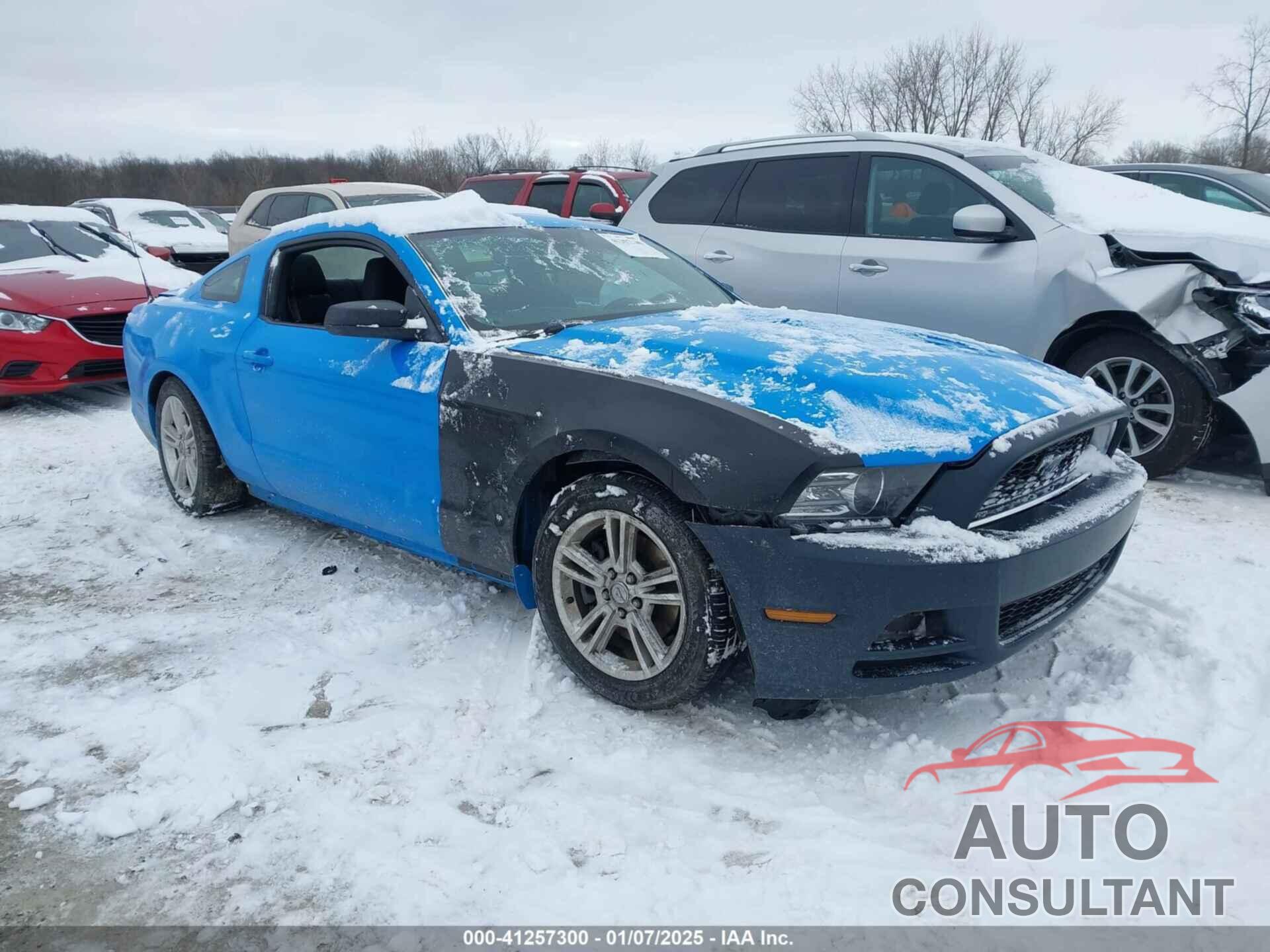 FORD MUSTANG 2014 - 1ZVBP8AMXE5203859