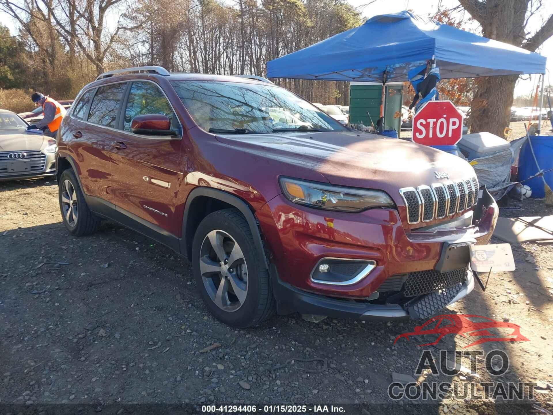 JEEP CHEROKEE 2019 - 1C4PJMDXXKD417177