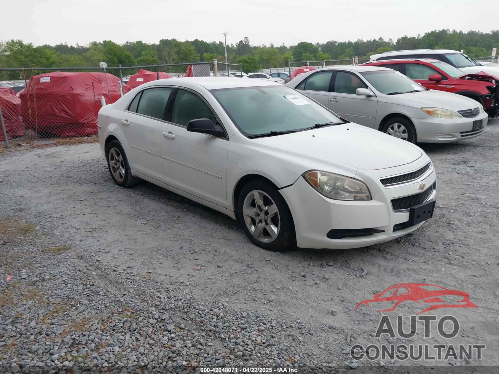 CHEVROLET MALIBU 2011 - 1G1ZA5EU7BF135787