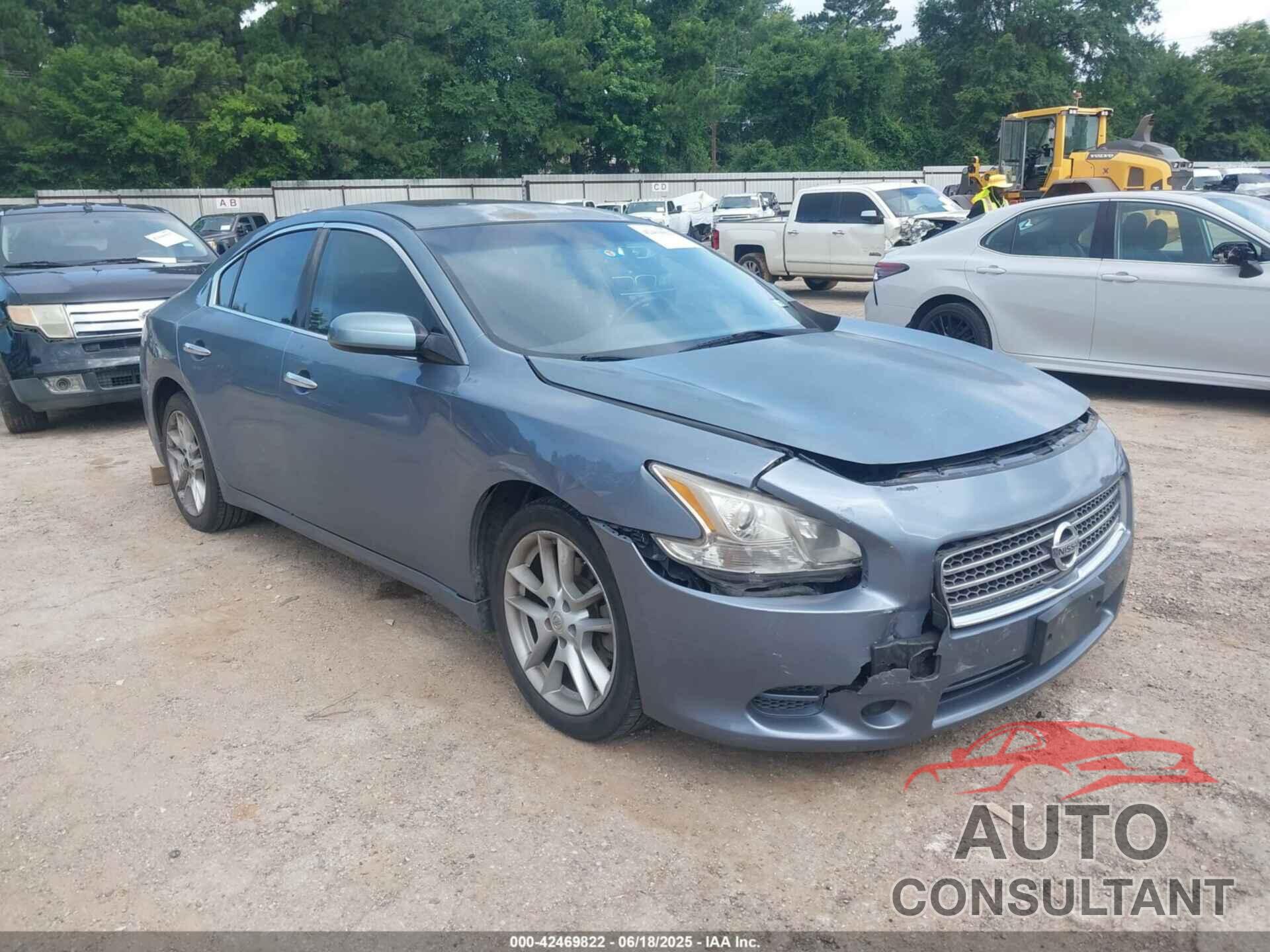 NISSAN MAXIMA 2010 - 1N4AA5APXAC808677