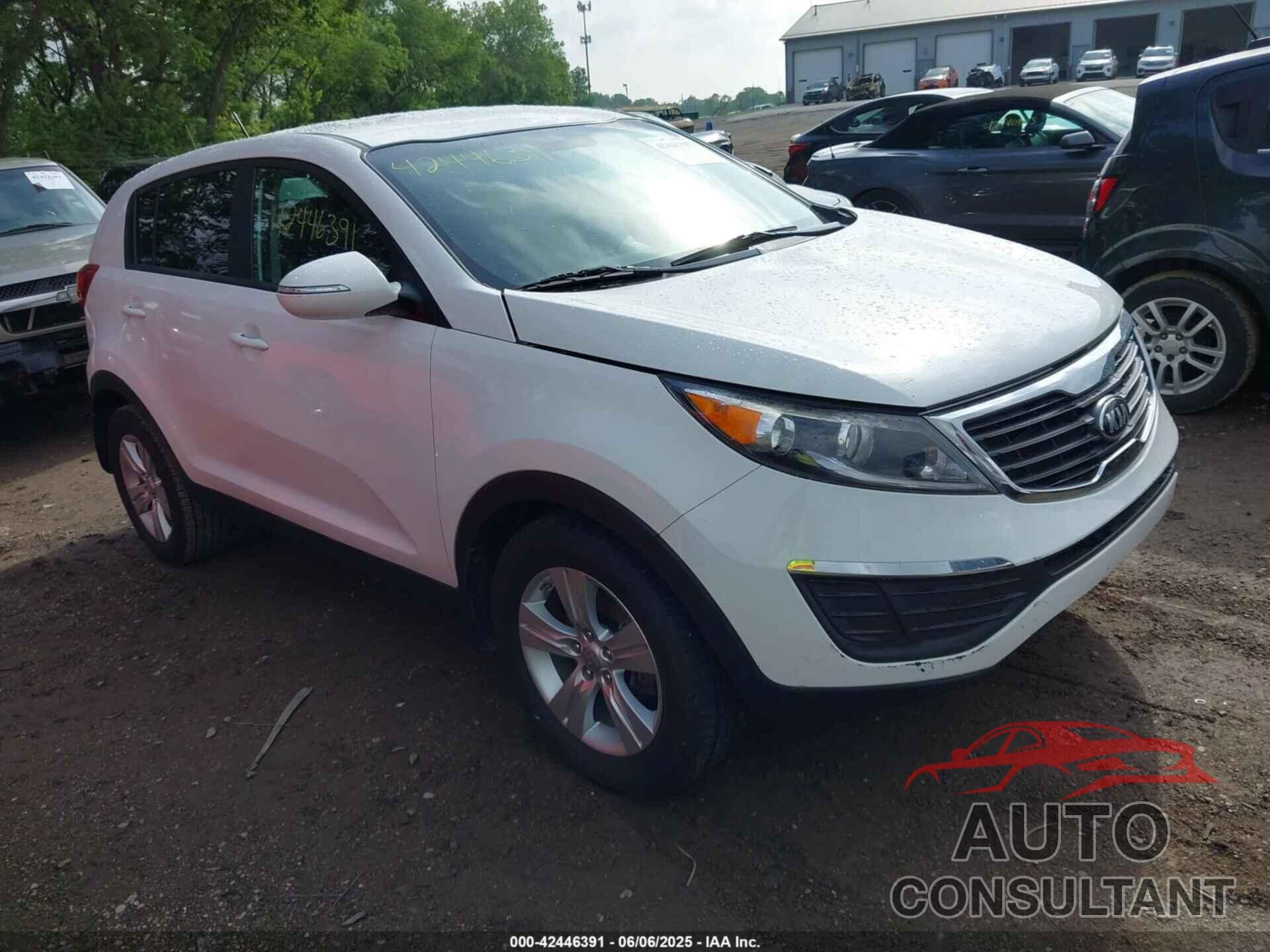 KIA SPORTAGE 2013 - KNDPB3A29D7533665