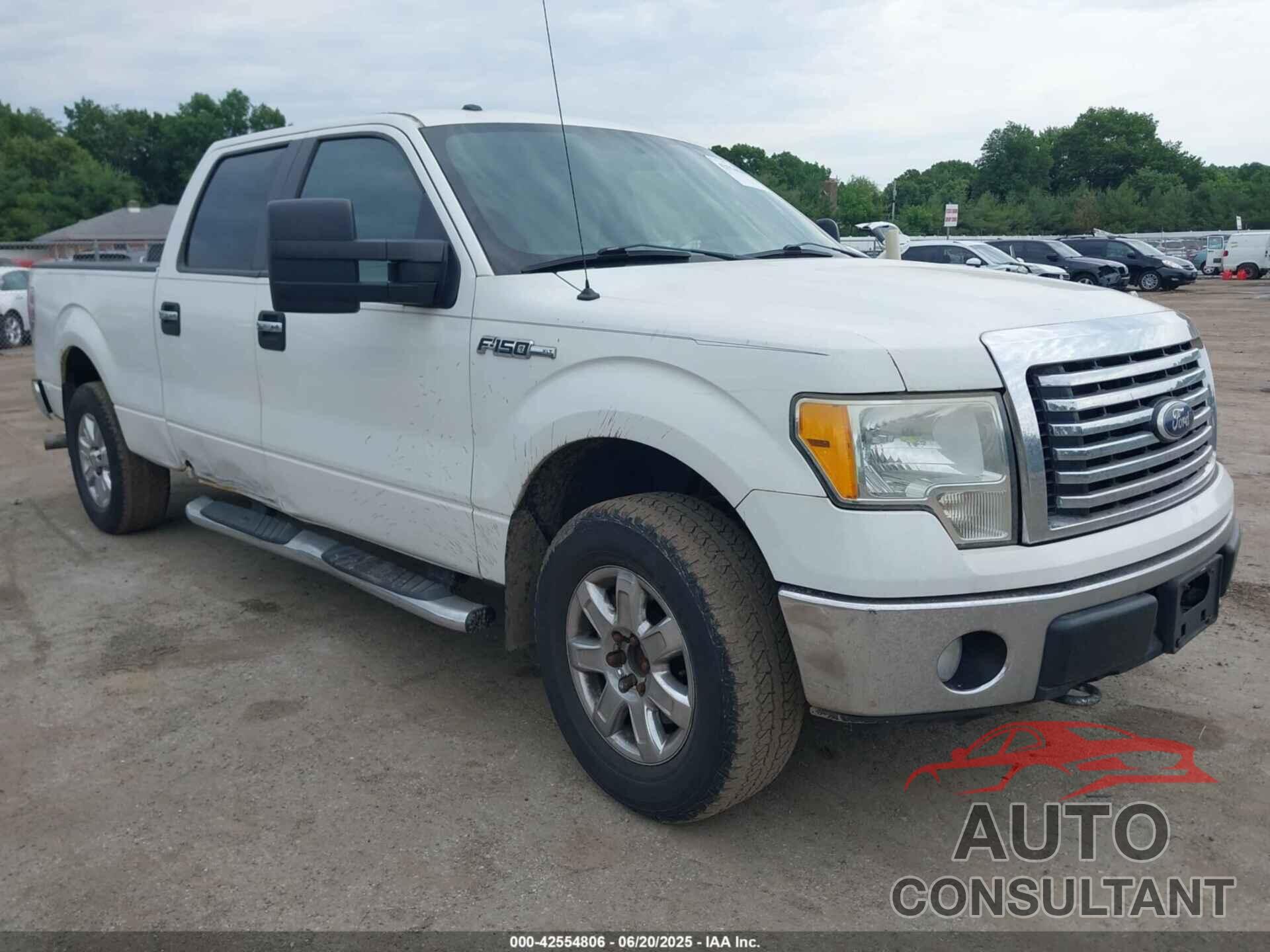 FORD F-150 2010 - 1FTFW1EV6AFD06315