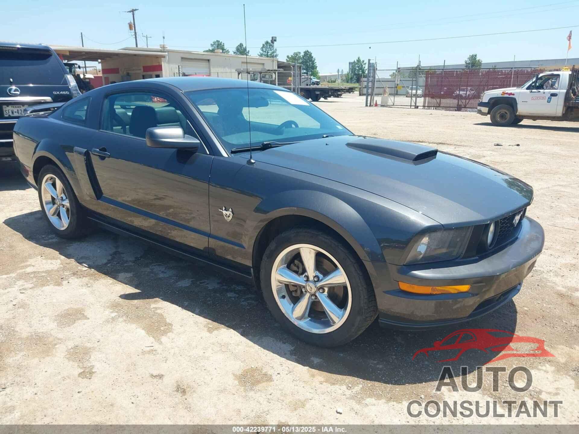 FORD MUSTANG 2009 - 1ZVHT82H495133224