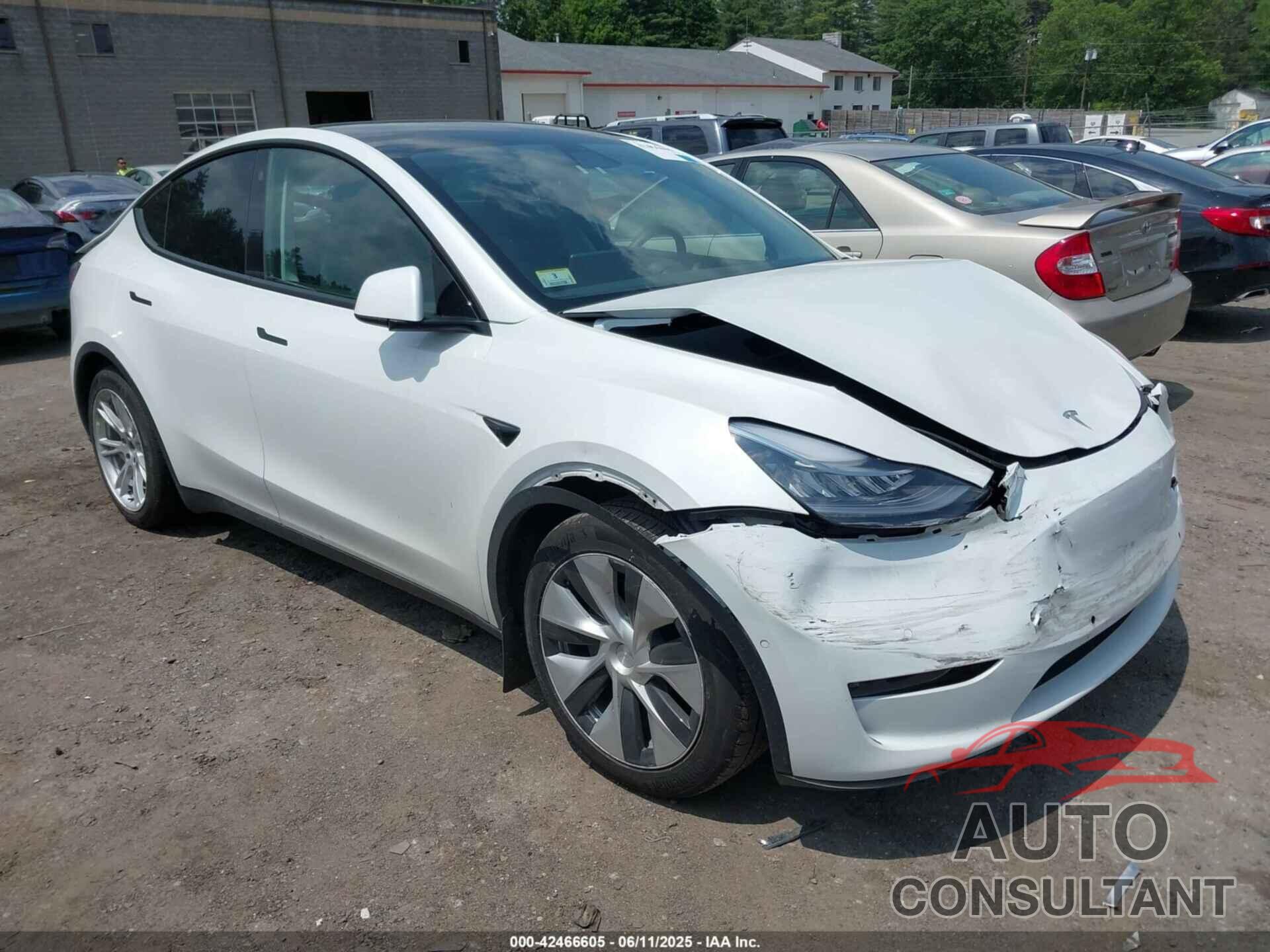 TESLA MODEL Y 2022 - 7SAYGAEE7NF384783