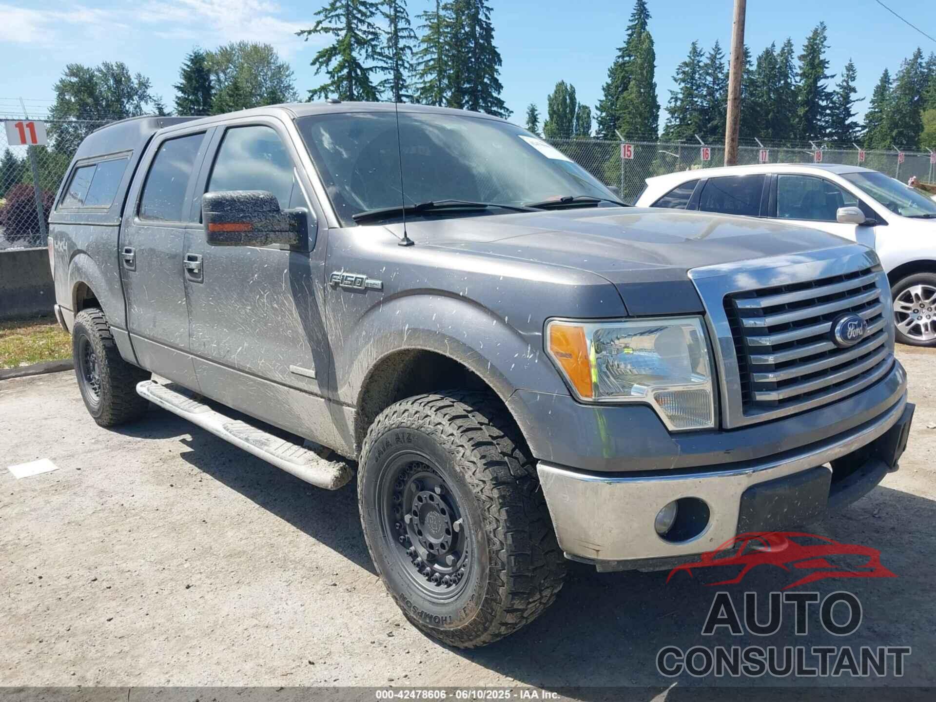 FORD F-150 2011 - 1FTFW1ET4BKD25243