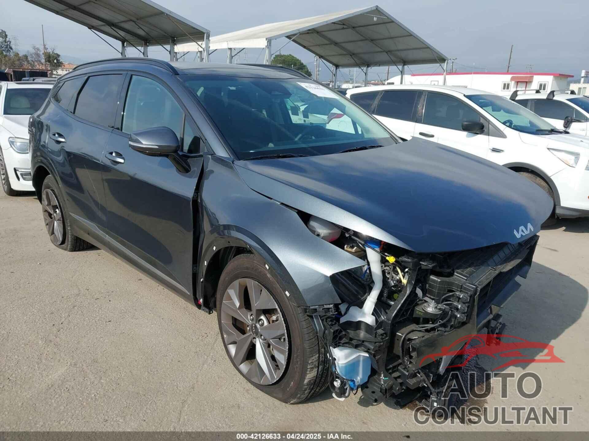 KIA SPORTAGE 2024 - 5XYK43DF0RG222512