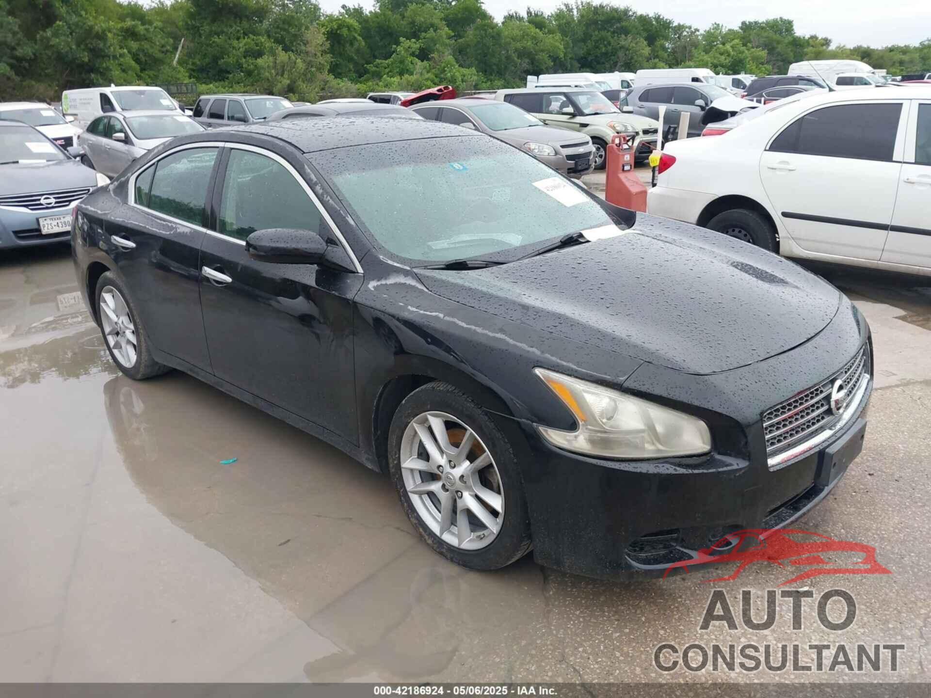 NISSAN MAXIMA 2009 - 1N4AA51E19C806374