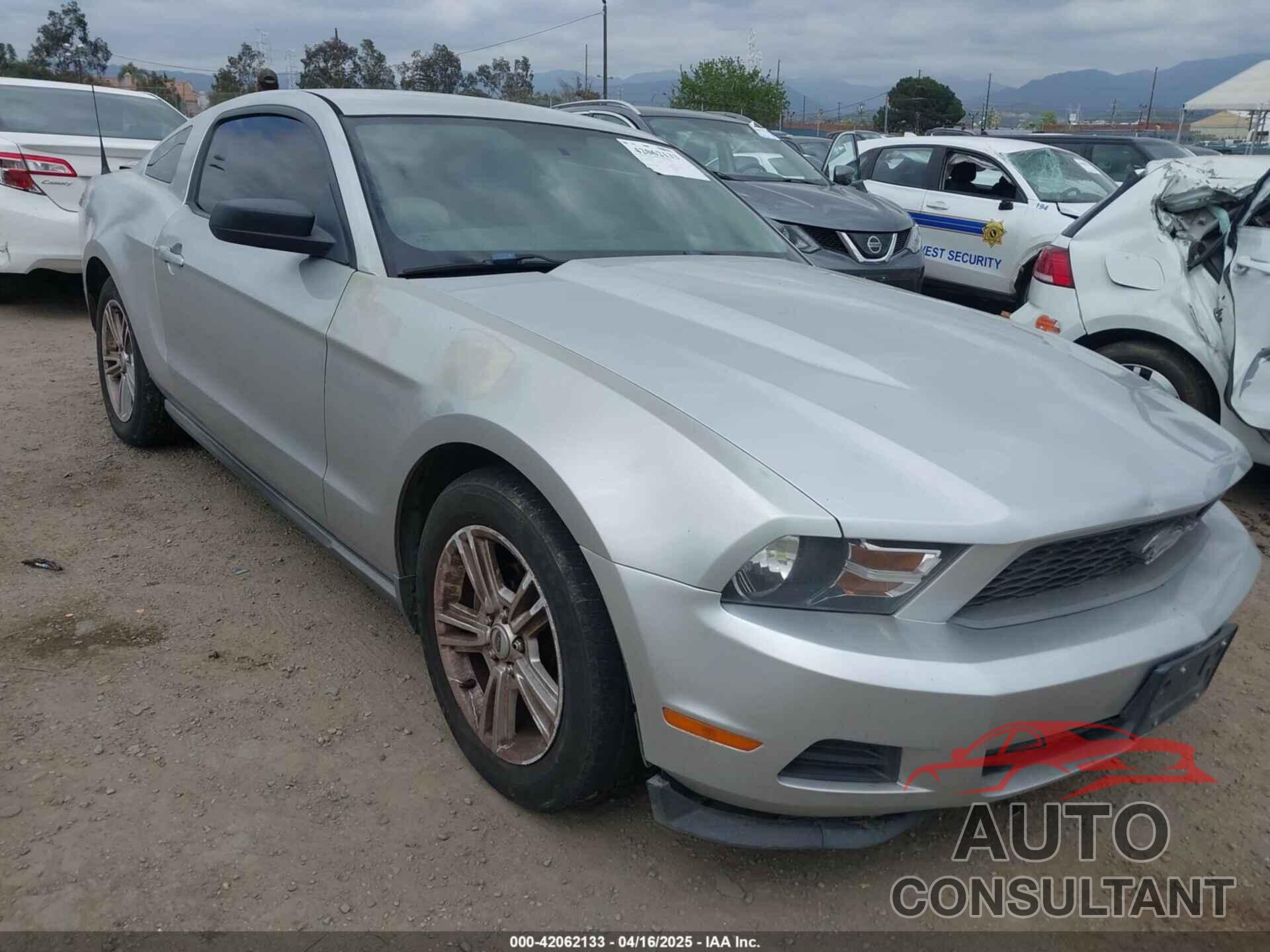 FORD MUSTANG 2010 - 1ZVBP8AN1A5104611