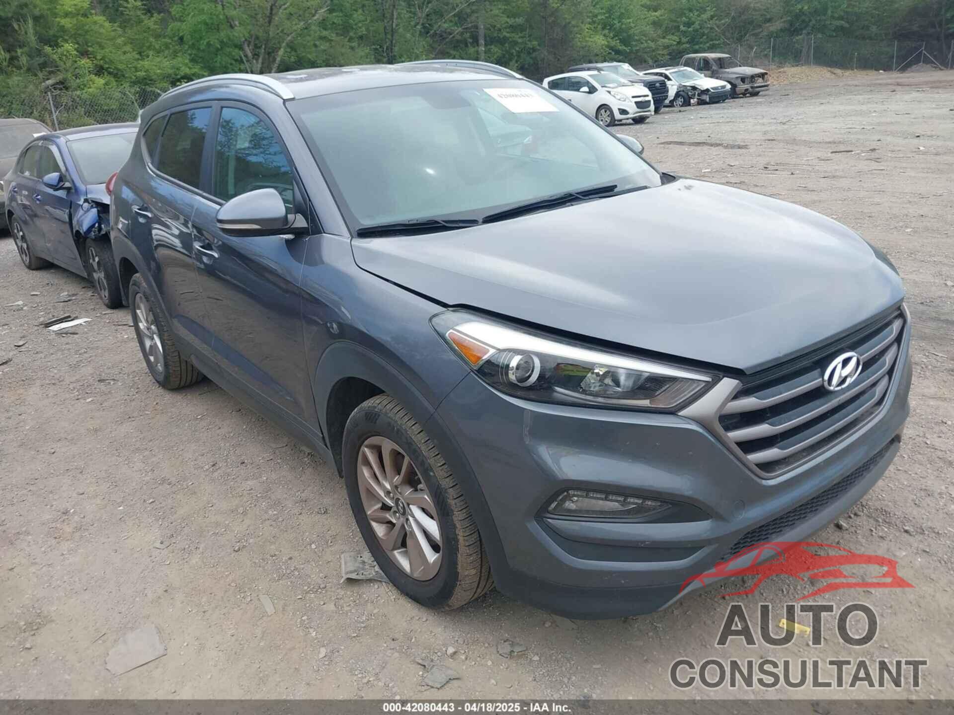 HYUNDAI TUCSON 2016 - KM8J33A29GU179537