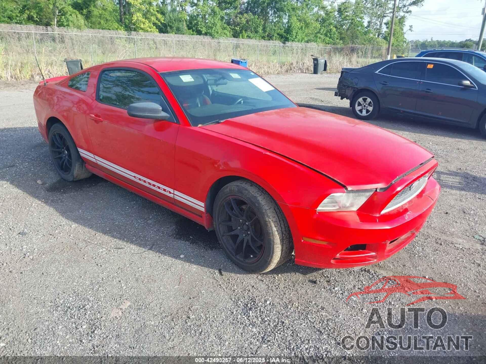 FORD MUSTANG 2013 - 1ZVBP8AM8D5250810