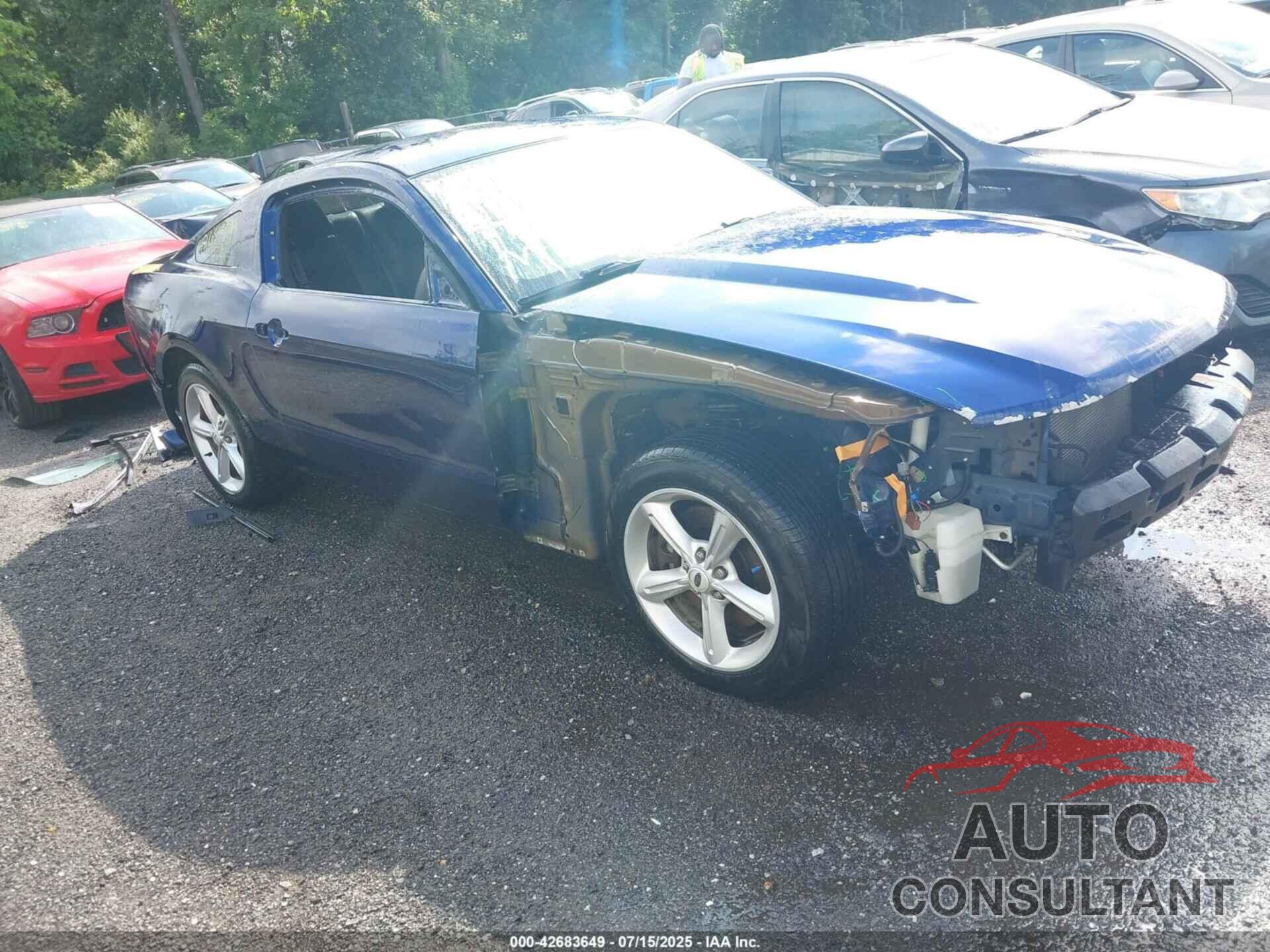 FORD MUSTANG 2012 - 1ZVBP8CFXC5256220