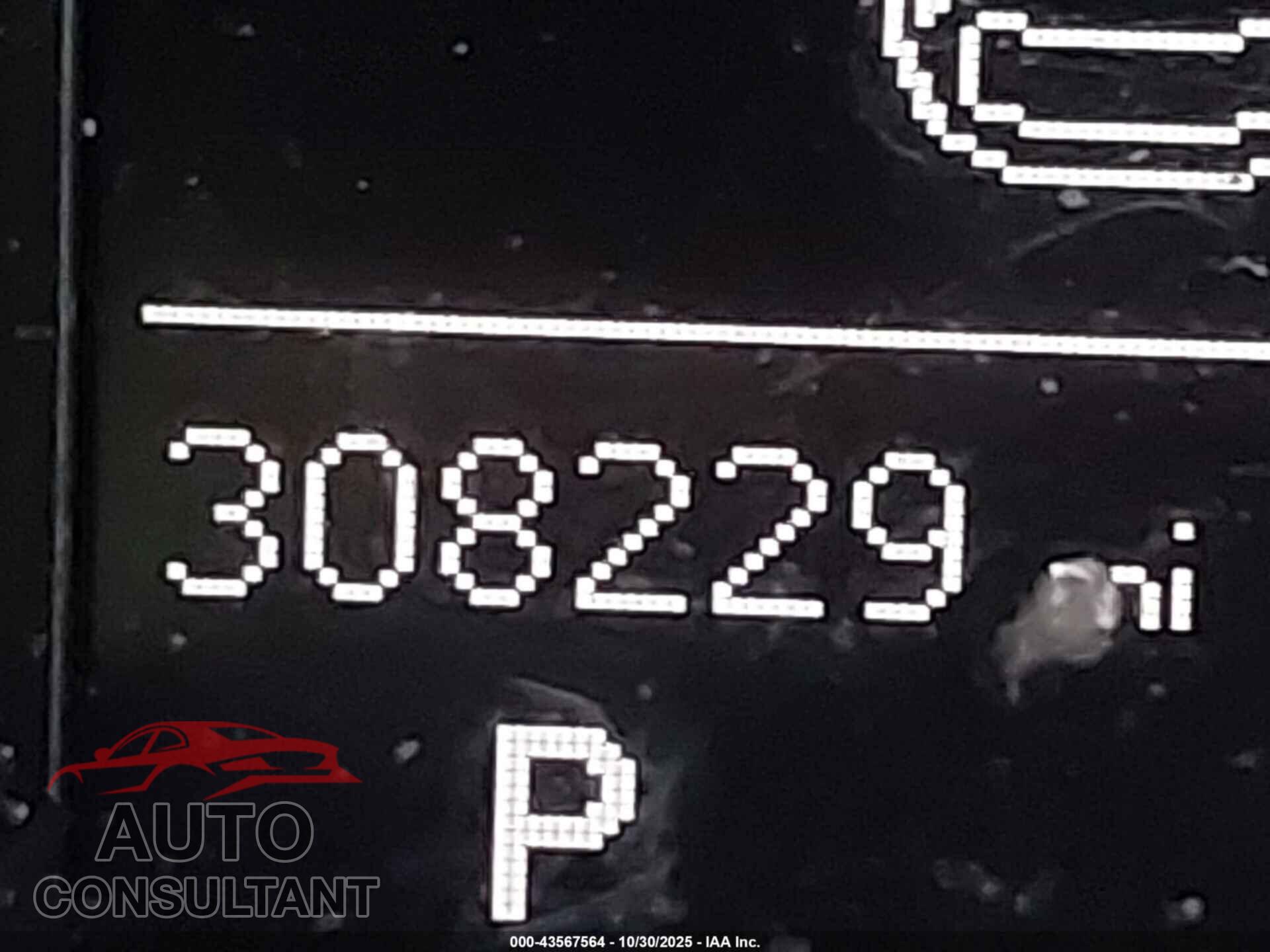 AUDI ALLROAD 2013 - WA19FAFL8DA170226