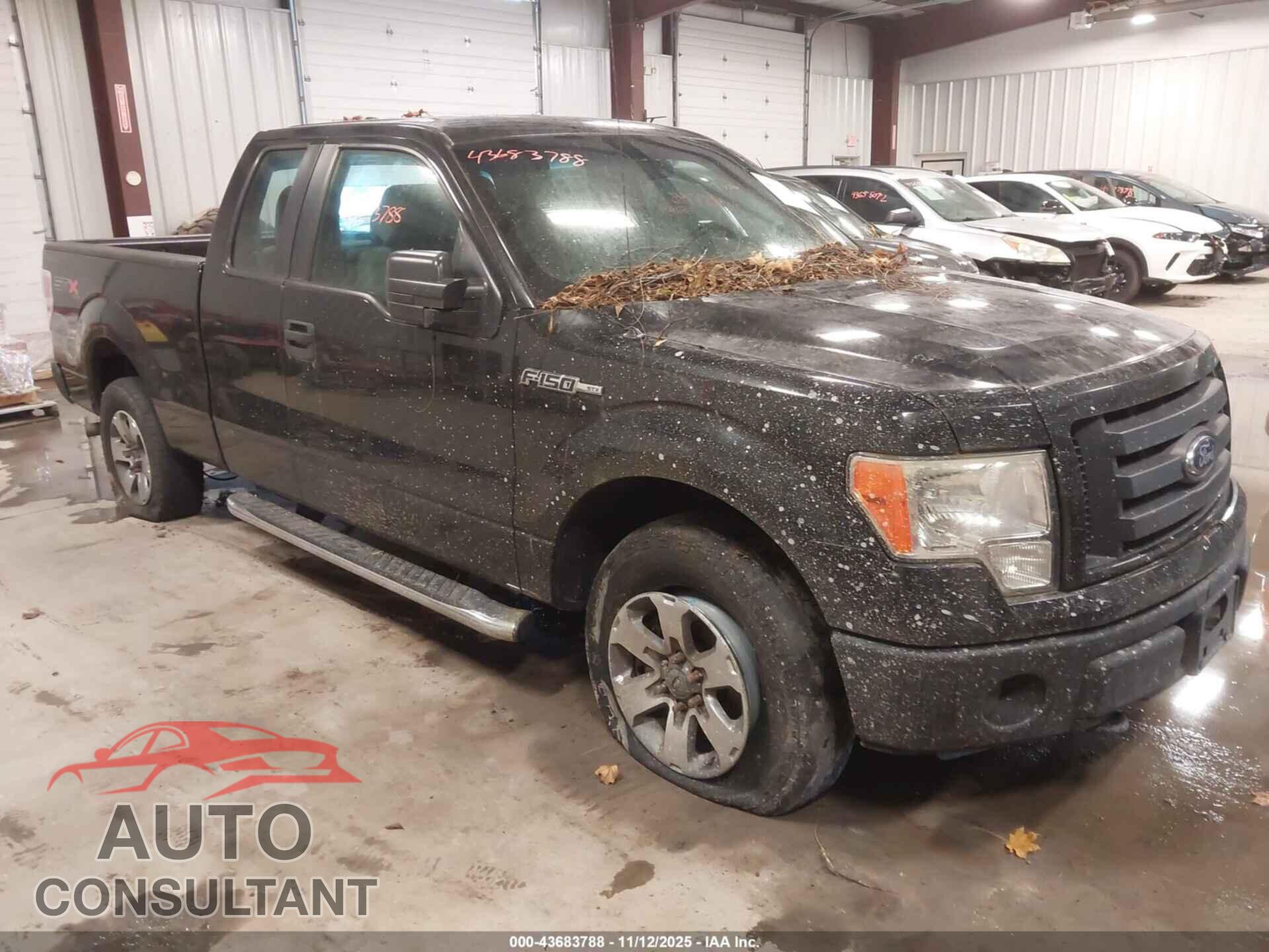 FORD F-150 2012 - 1FTFX1EF5CFB02825