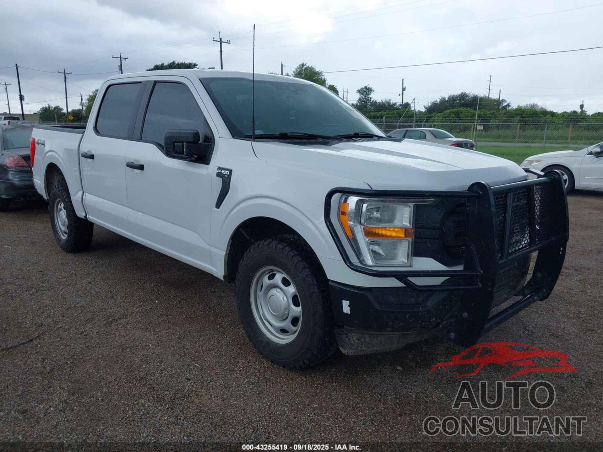 FORD F-150 2021 - 1FTFW1E56MKE56288