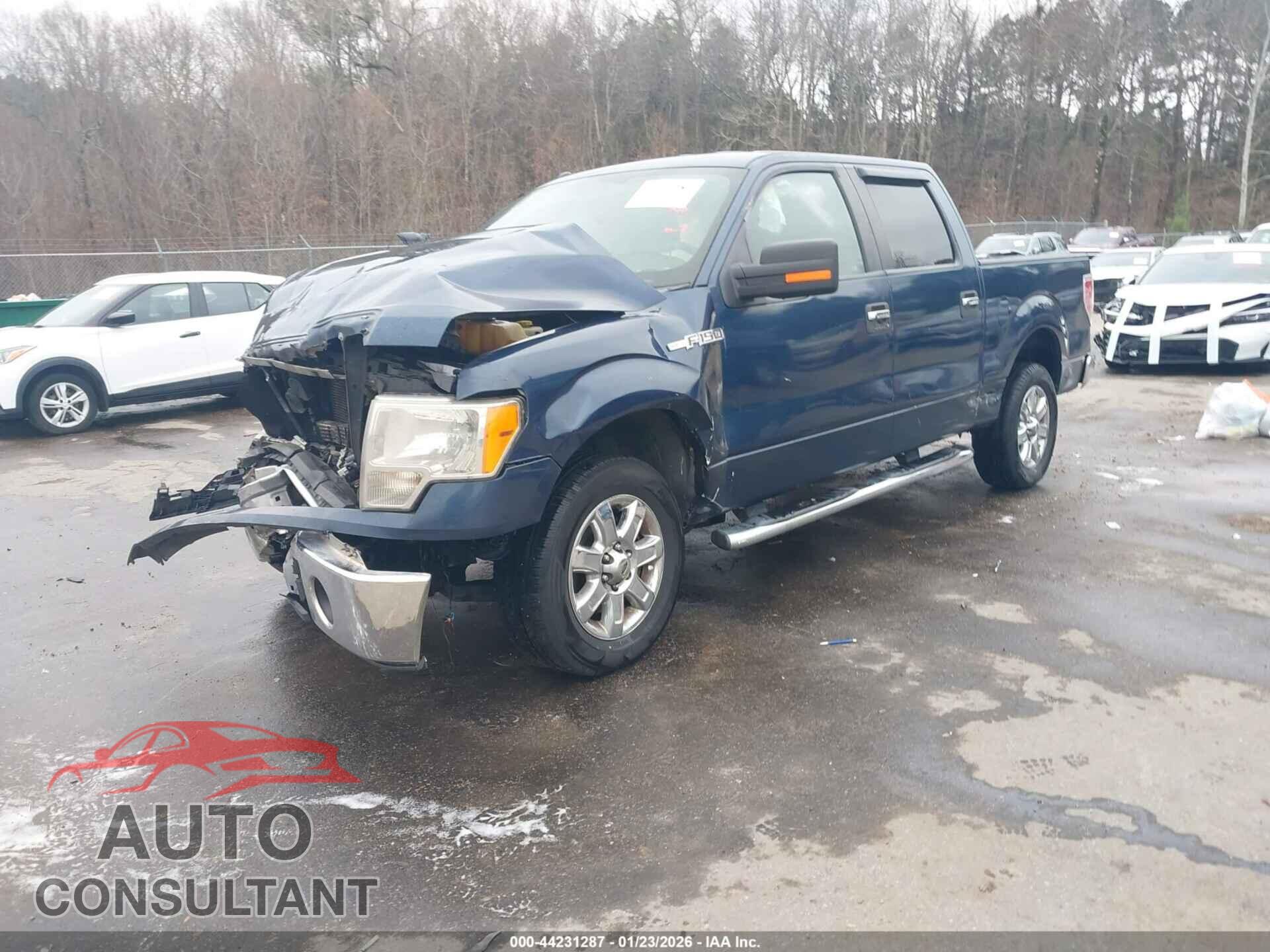 FORD F-150 2014 - 1FTEW1CM4EFB94321