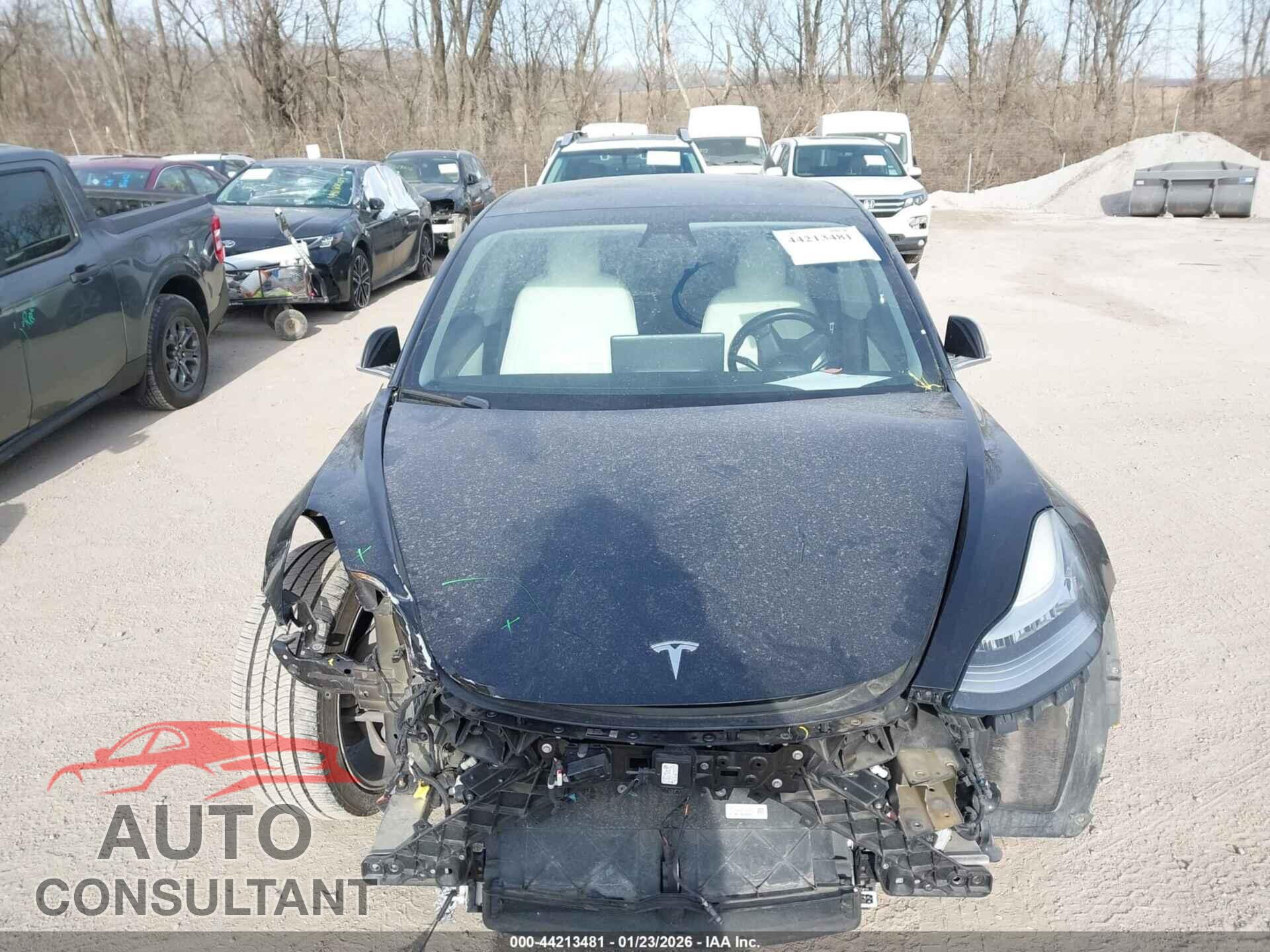 TESLA MODEL 3 2019 - 5YJ3E1EB3KF391356