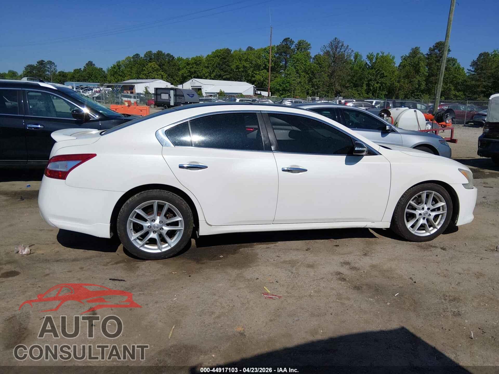 NISSAN MAXIMA 2009 - 1N4AA51E49C852197