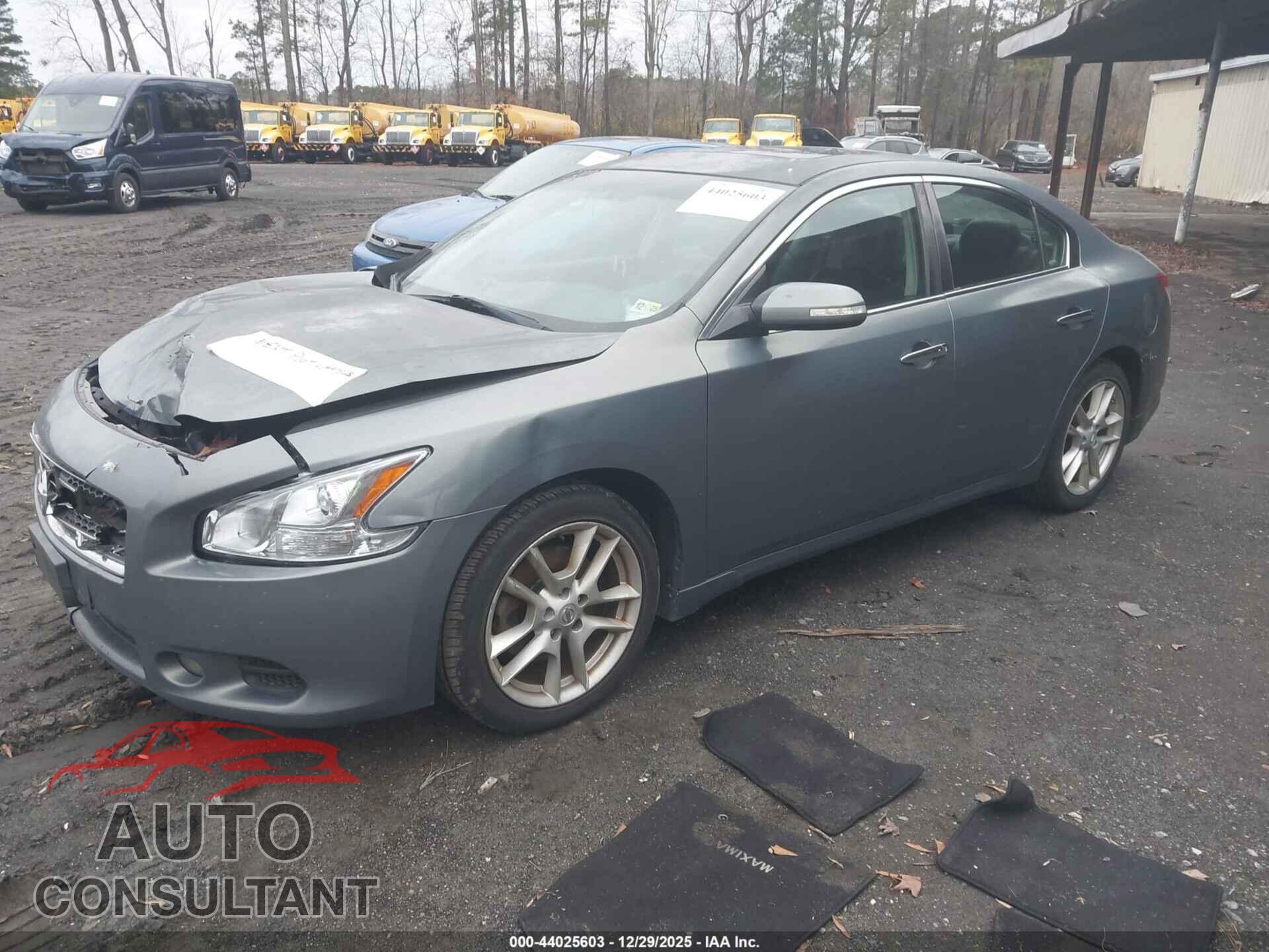 NISSAN MAXIMA 2011 - 1N4AA5AP7BC853870