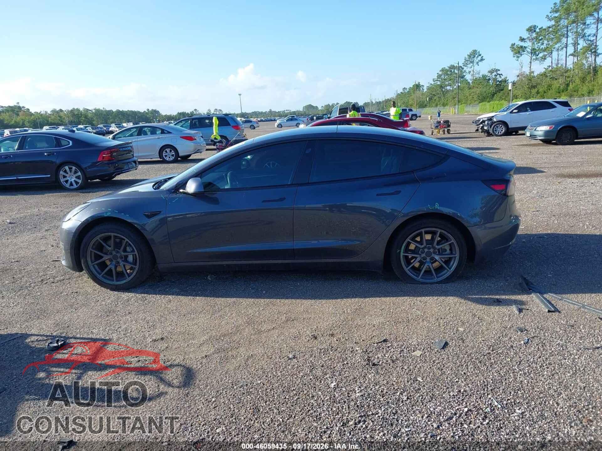 TESLA MODEL 3 2021 - 5YJ3E1EA9MF086017