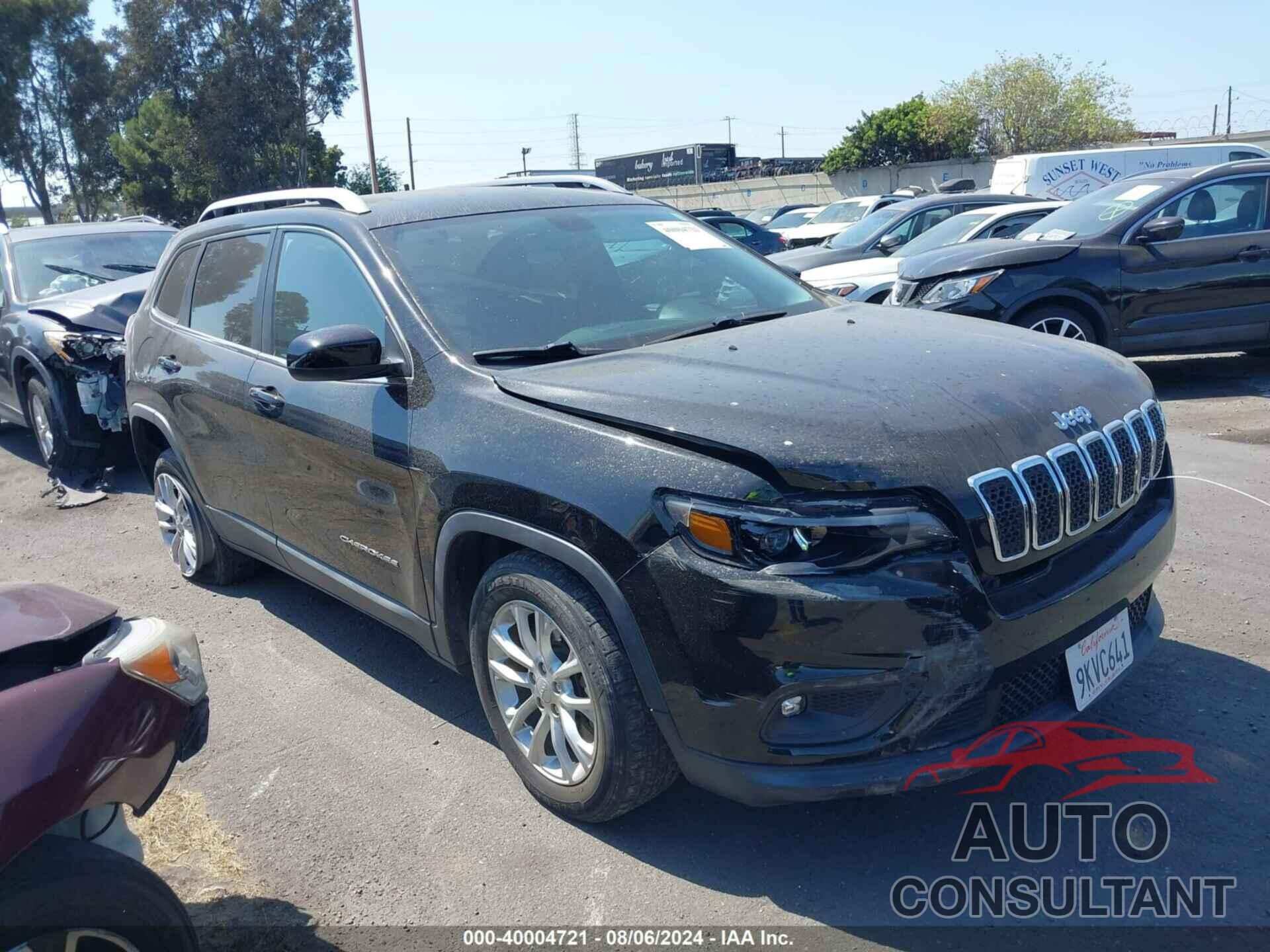 JEEP CHEROKEE 2019 - 1C4PJLCB1KD247355