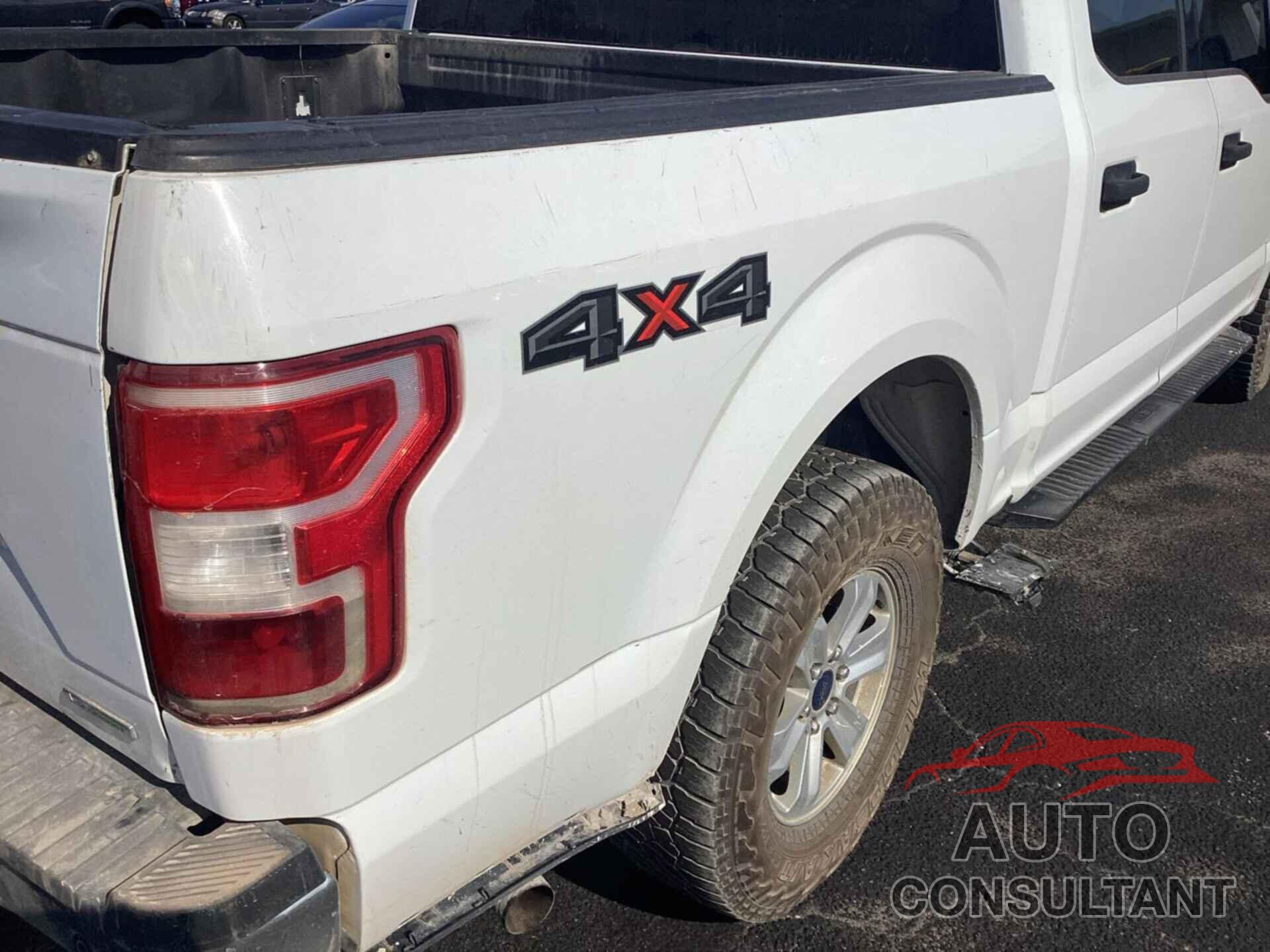 FORD F150 2019 - 1FTEW1EP7KKD00934