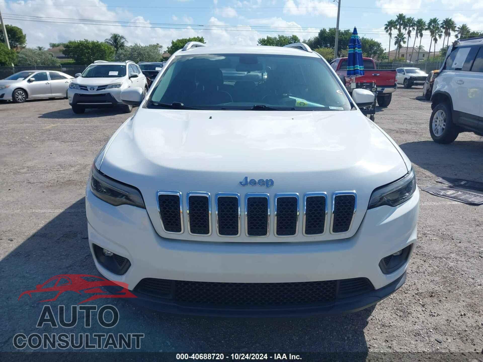 JEEP CHEROKEE 2019 - 1C4PJLLB3KD202031