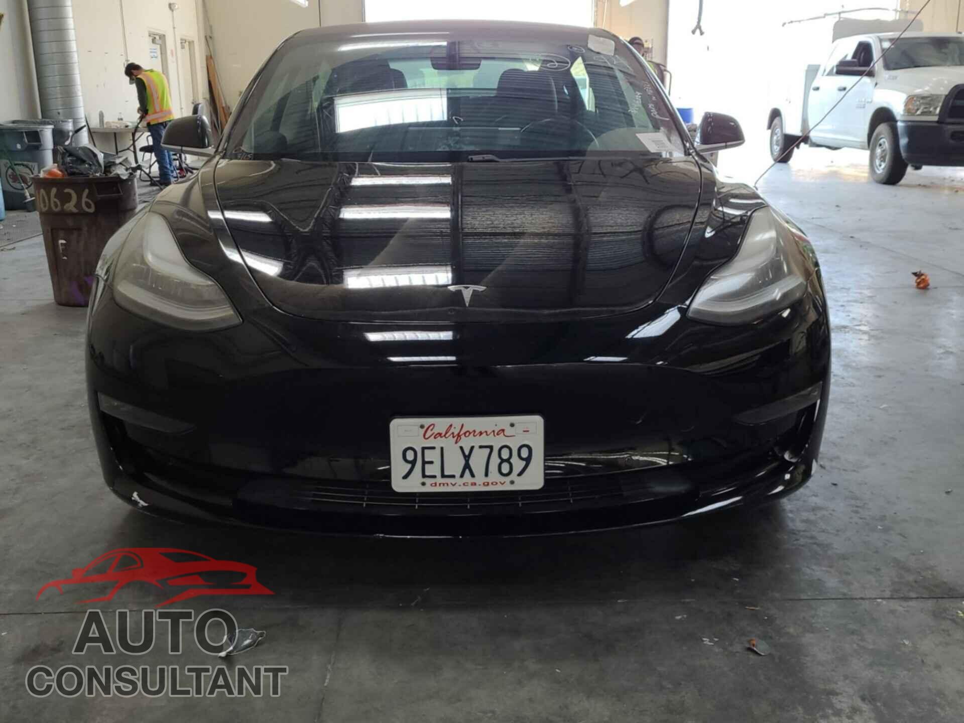 TESLA MODEL 3 2019 - 5YJ3E1EB6KF193385