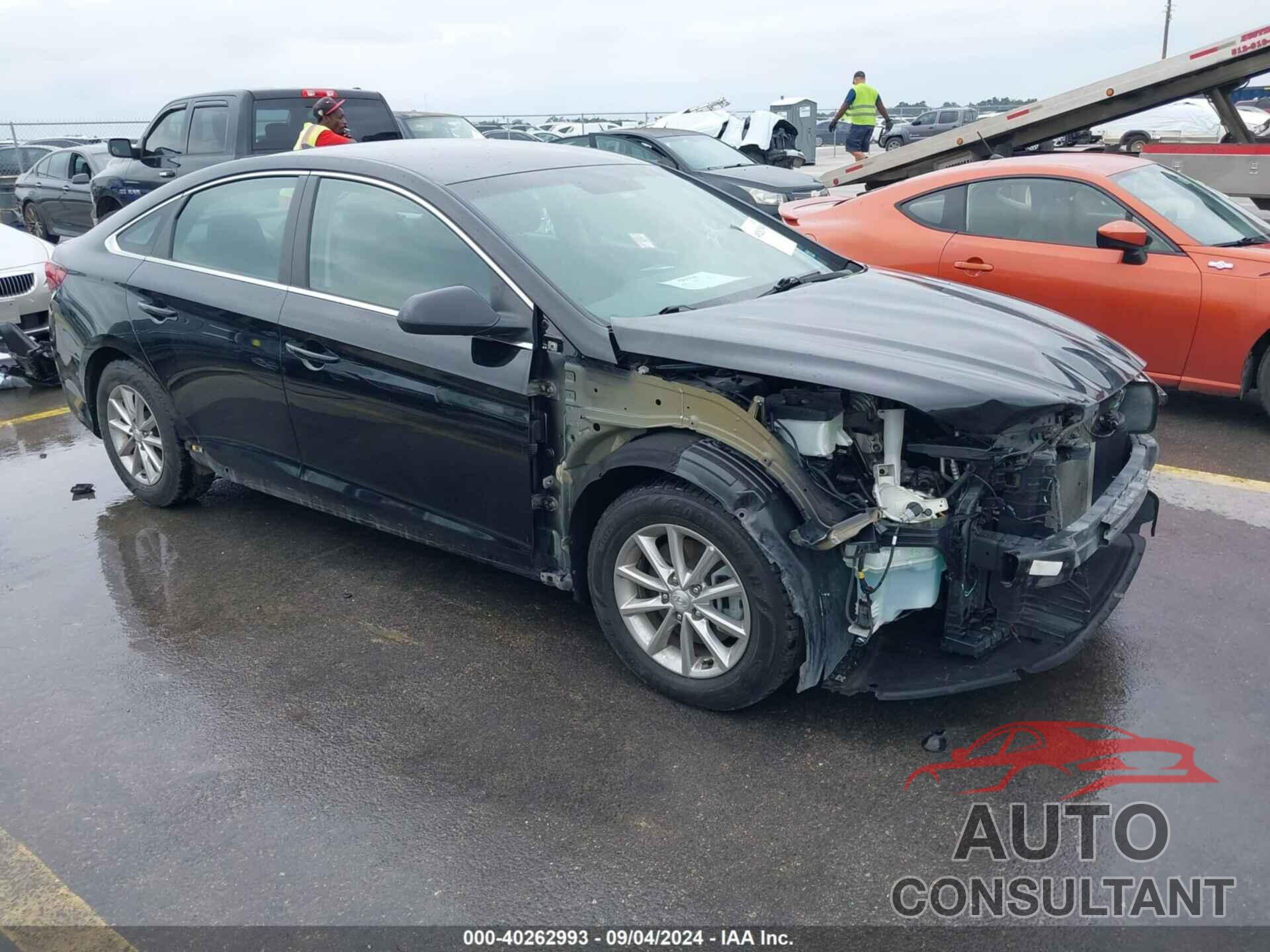 HYUNDAI SONATA 2019 - 5NPE24AF1KH776721