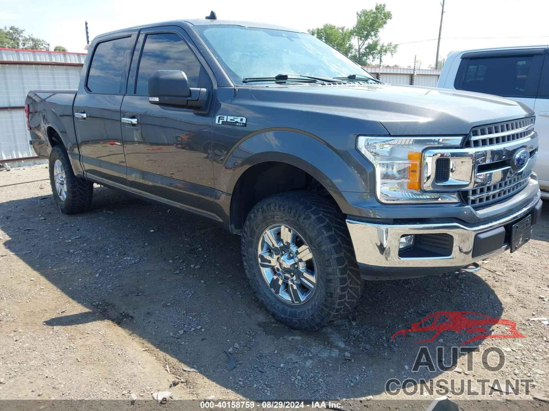 FORD F-150 2019 - 1FTEW1EP4KKD88924