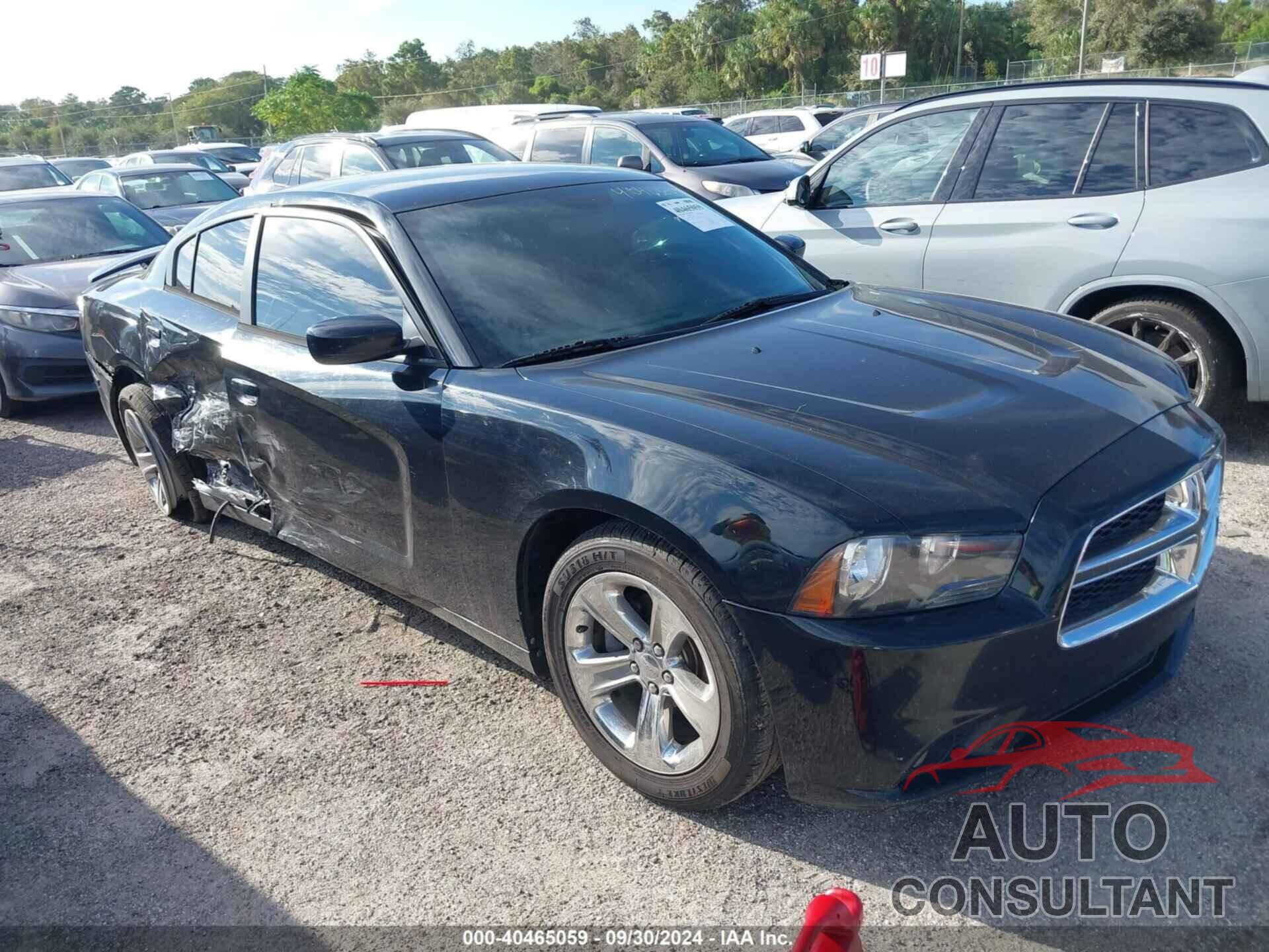 DODGE CHARGER 2014 - 2C3CDXHG4EH207252