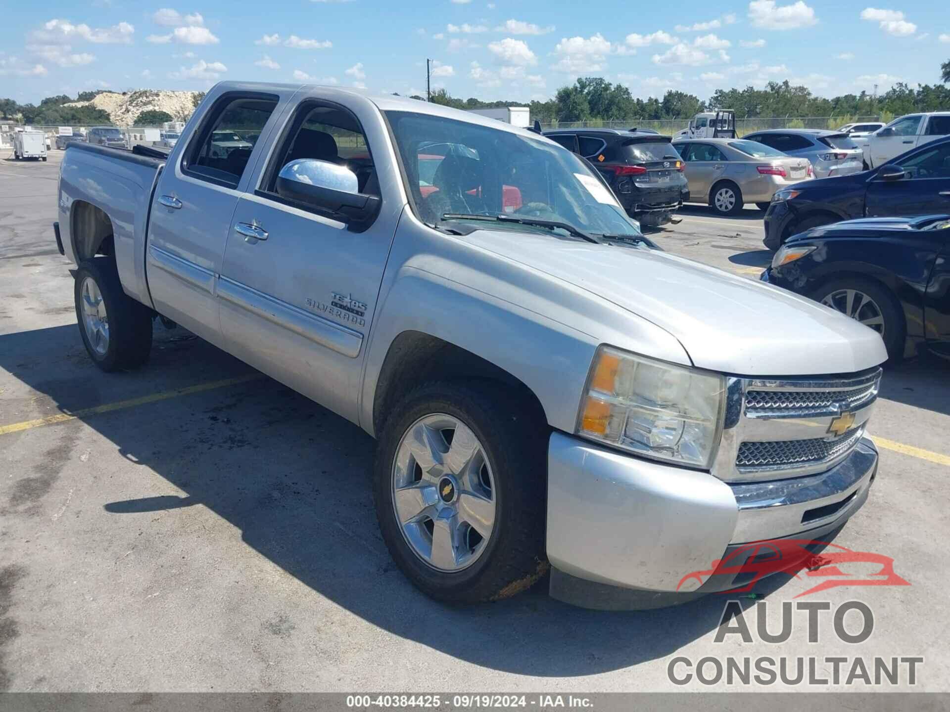 CHEVROLET SILVERADO 1500 2010 - 3GCRCSE01AG136153