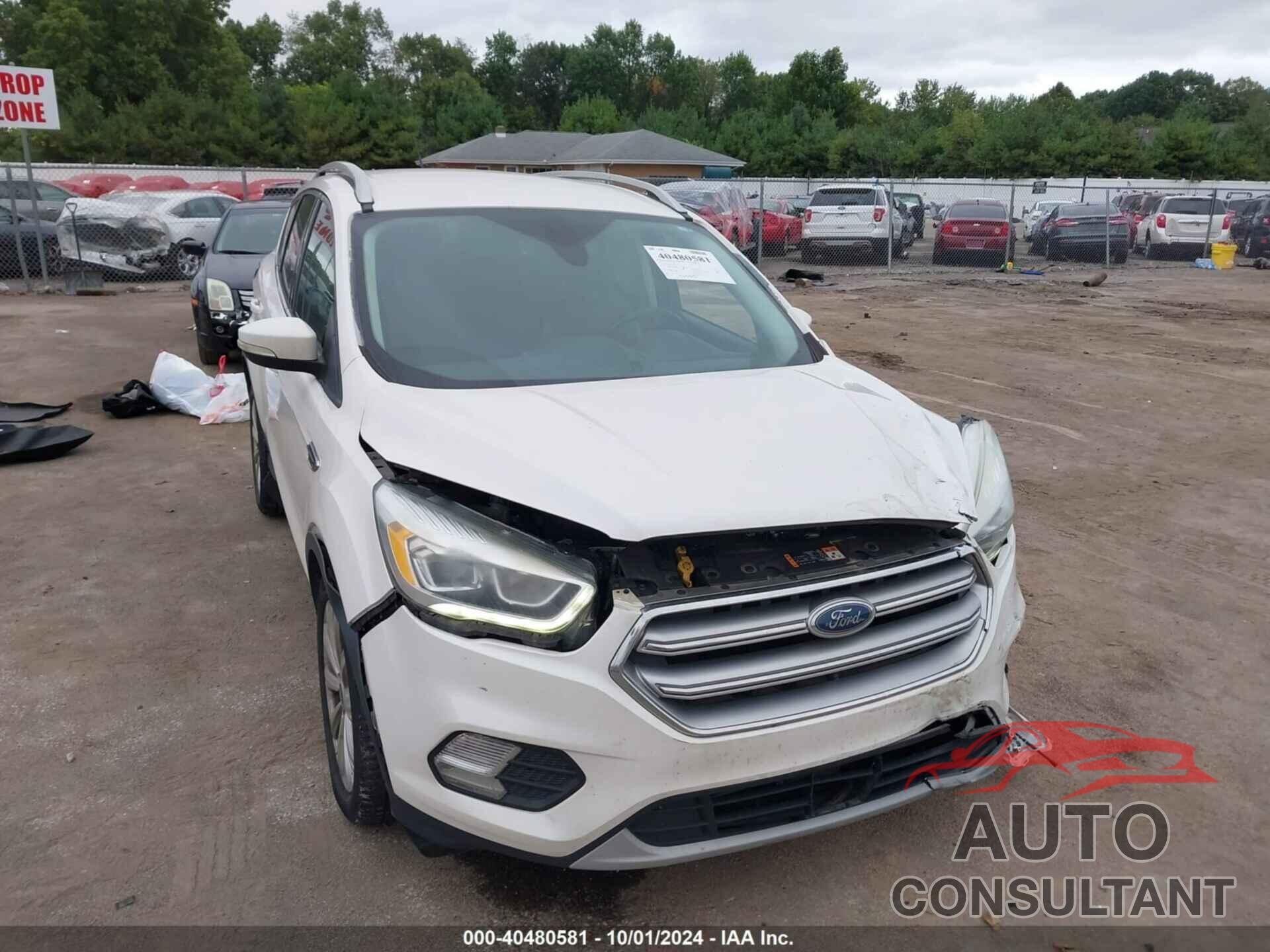 FORD ESCAPE 2017 - 1FMCU9J97HUB57513