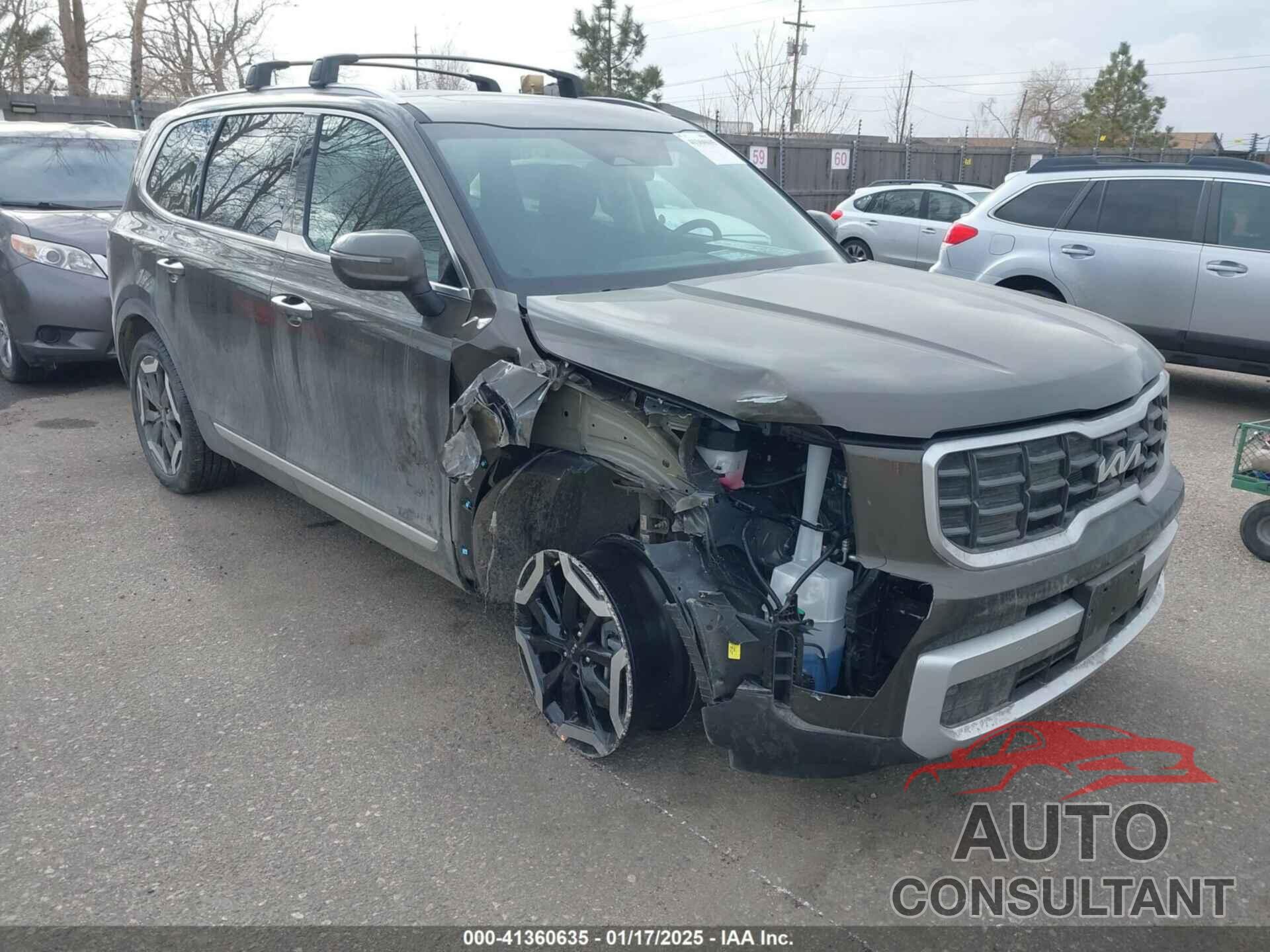 KIA TELLURIDE 2025 - 5XYP6DGC5SG581142