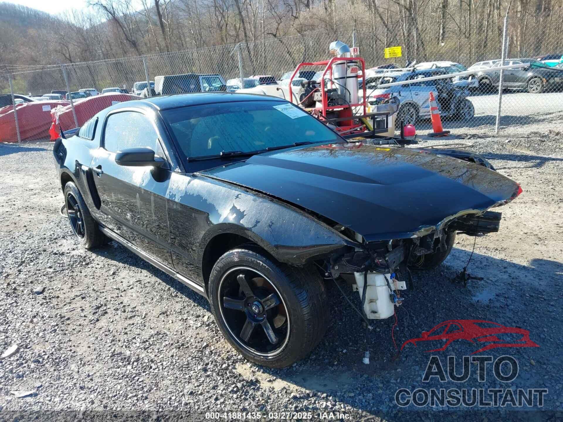 FORD MUSTANG 2010 - 1ZVBP8AN0A5181535