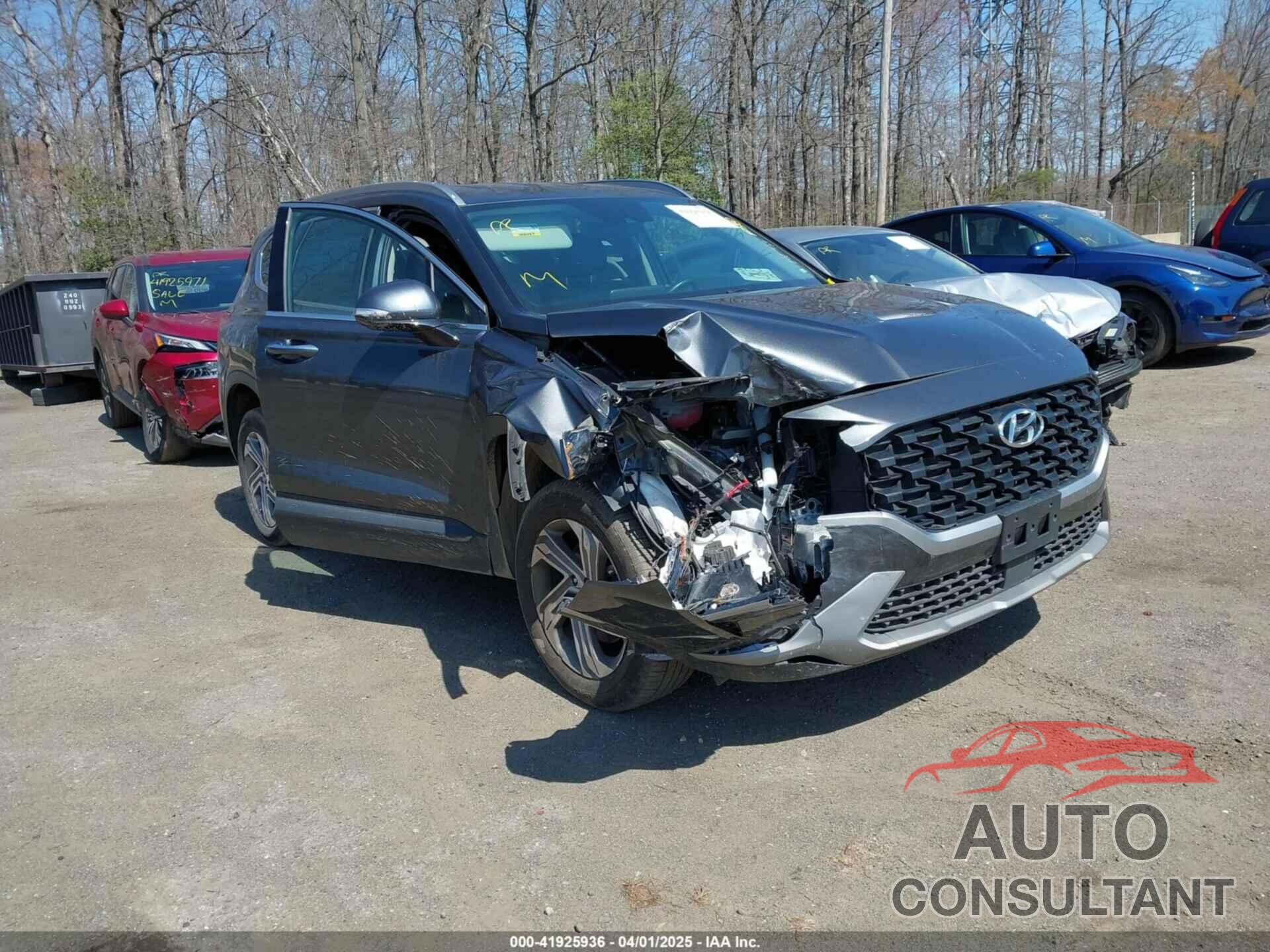 HYUNDAI SANTA FE 2023 - 5NMS2DAJXPH525496