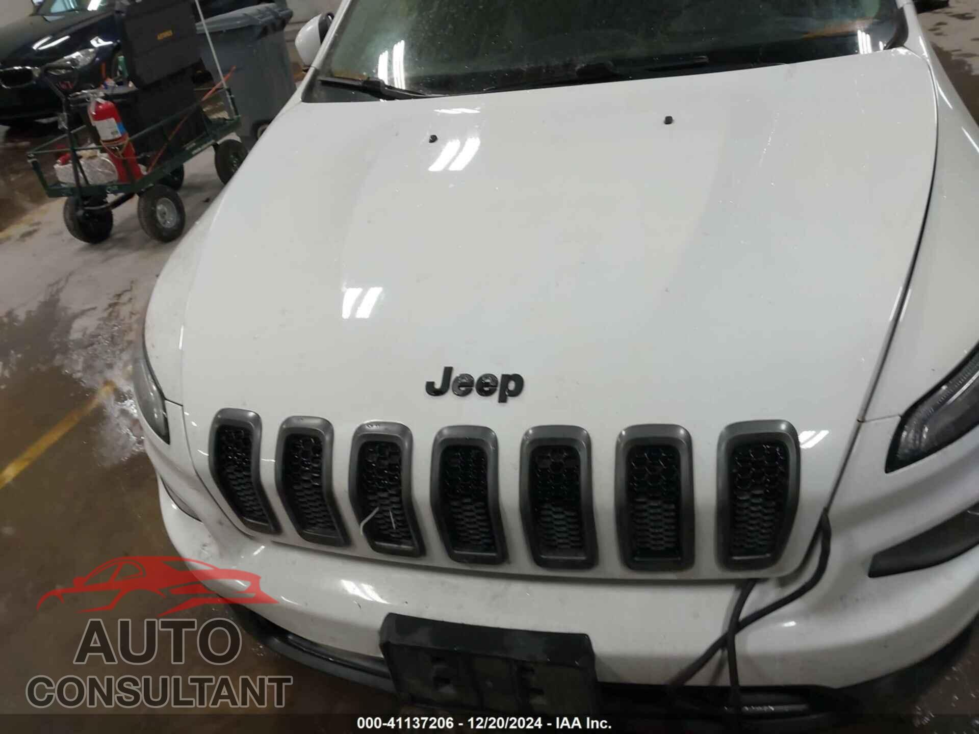 JEEP CHEROKEE 2016 - 1C4PJLDB8GW217618