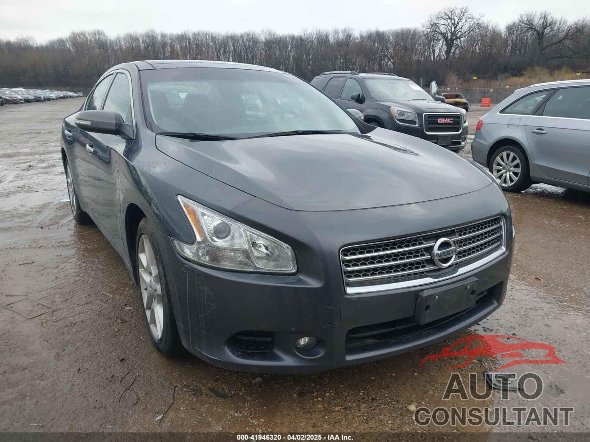 NISSAN MAXIMA 2011 - 1N4AA5AP0BC838448