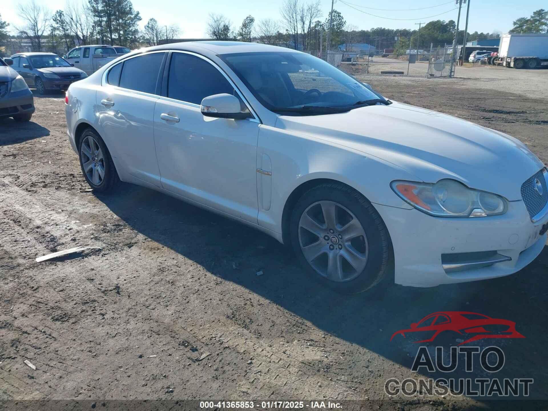 JAGUAR XF 2009 - SAJWA05B39HR28869