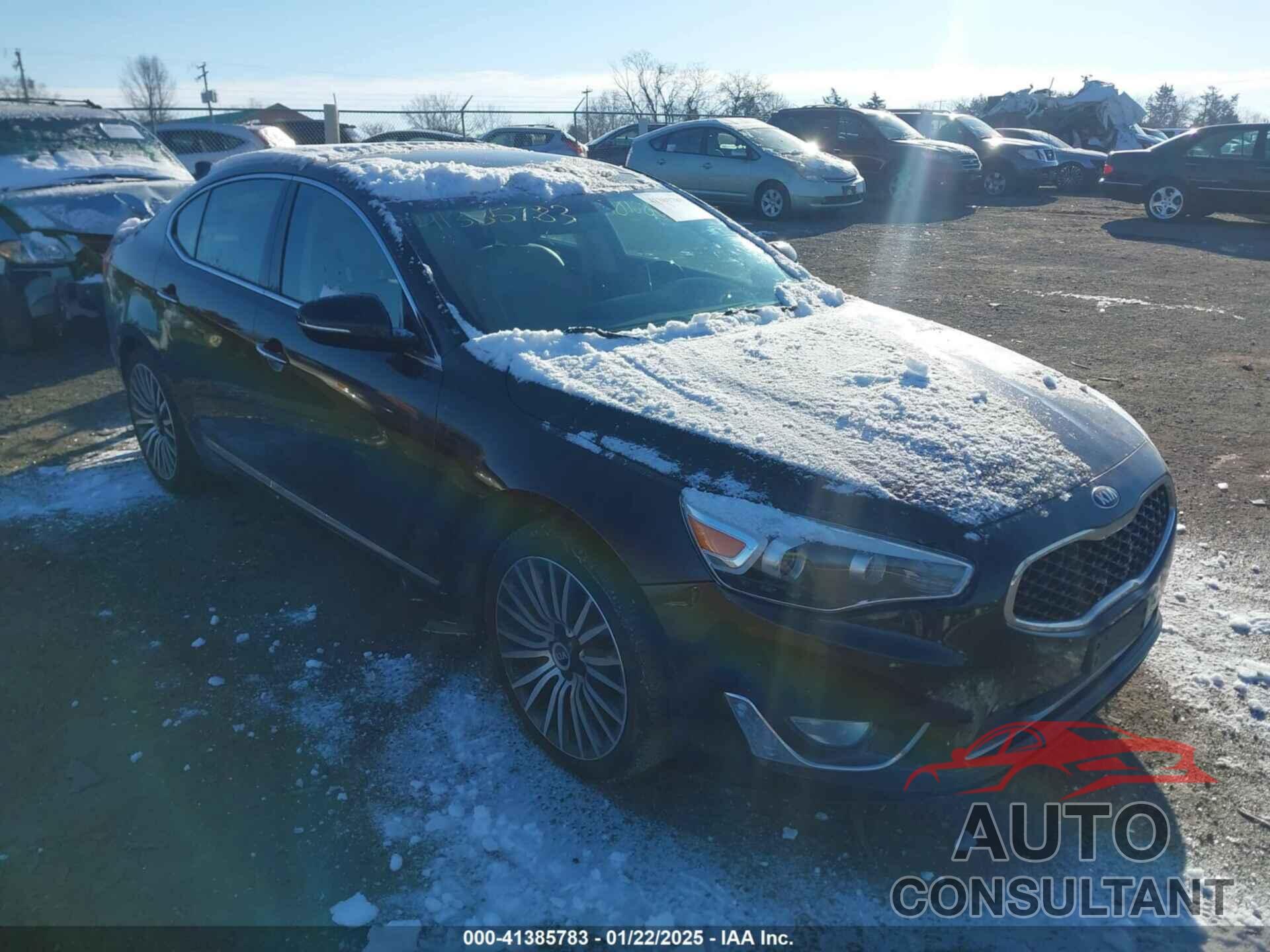 KIA CADENZA 2014 - KNALN4D79E5125339