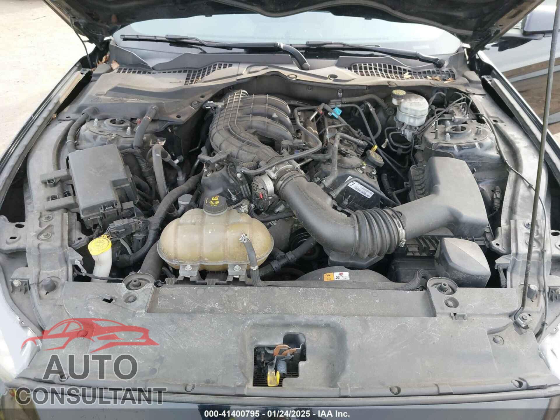 FORD MUSTANG 2017 - 1FA6P8AM7H5323794